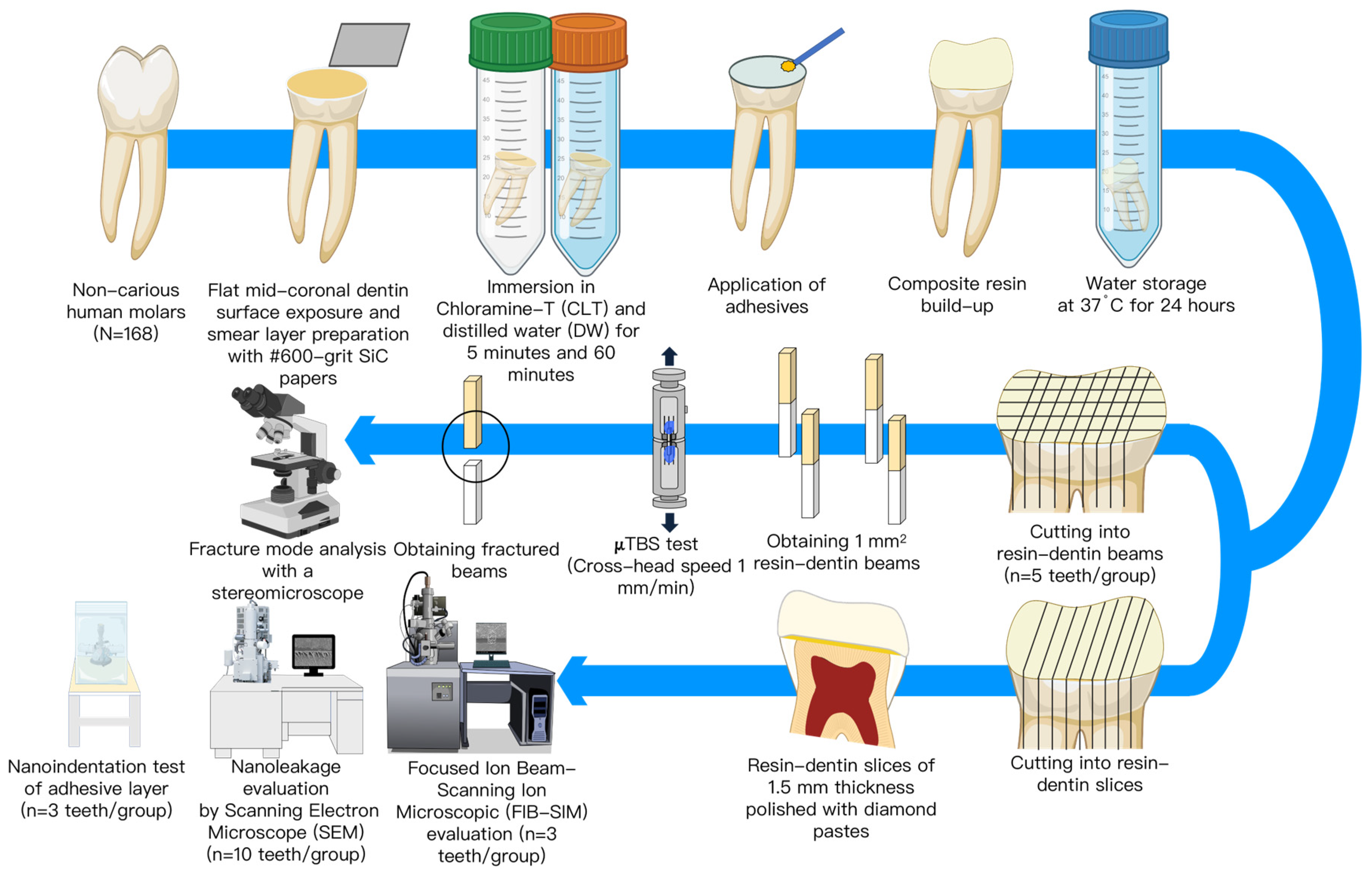 Polymers 15 03995 g001