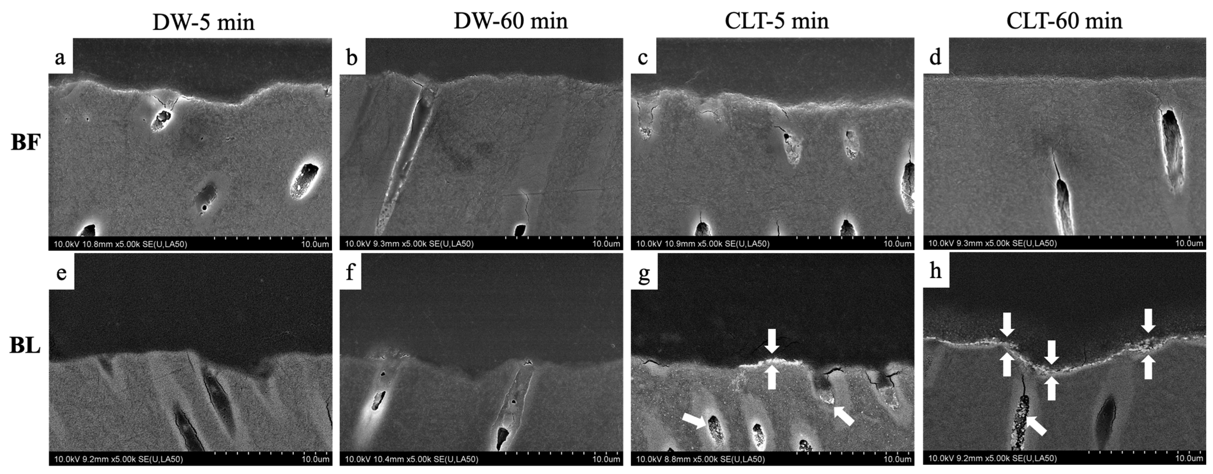 Polymers 15 03995 g004