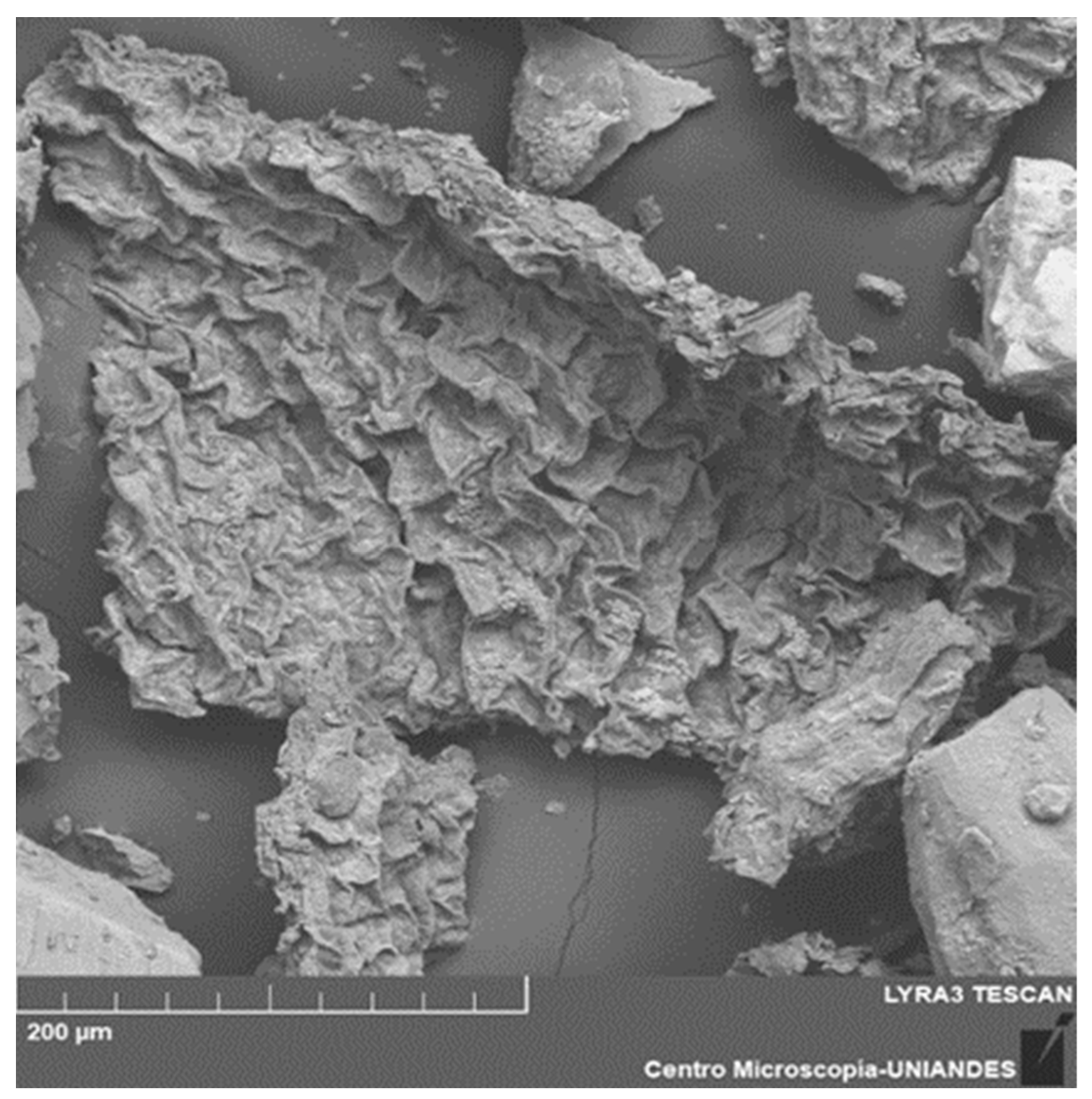 Polymers 15 03996 g002
