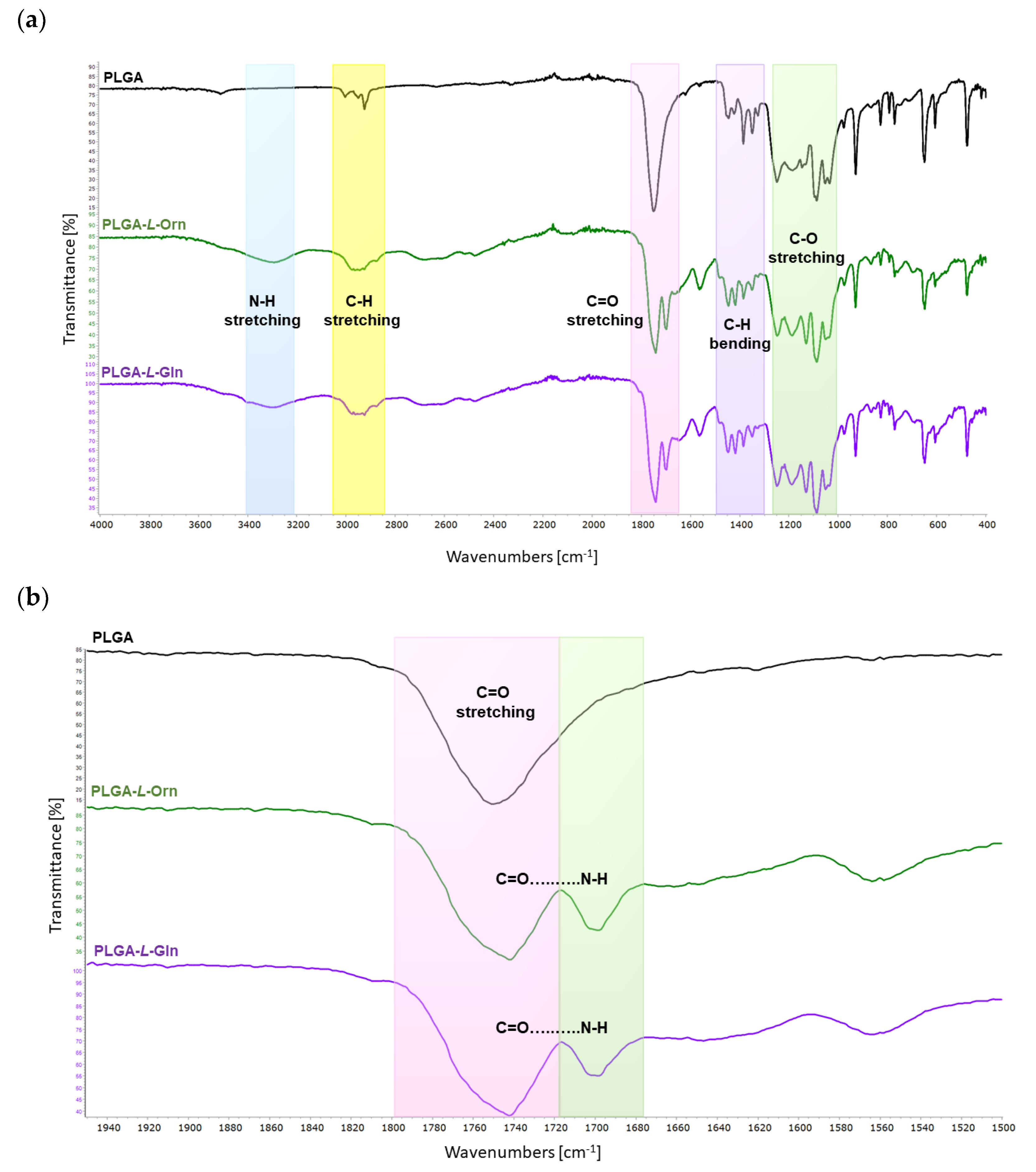 Polymers 15 03998 g002