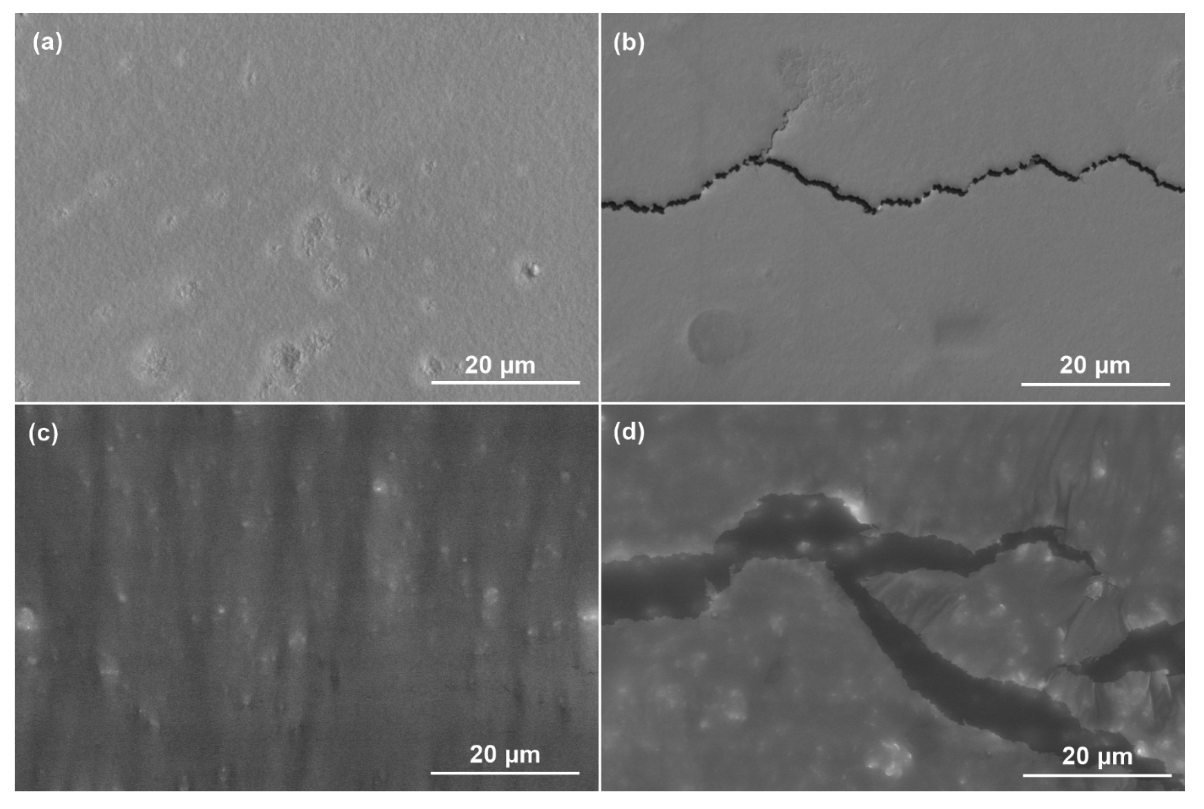 Polymers 15 03998 g005