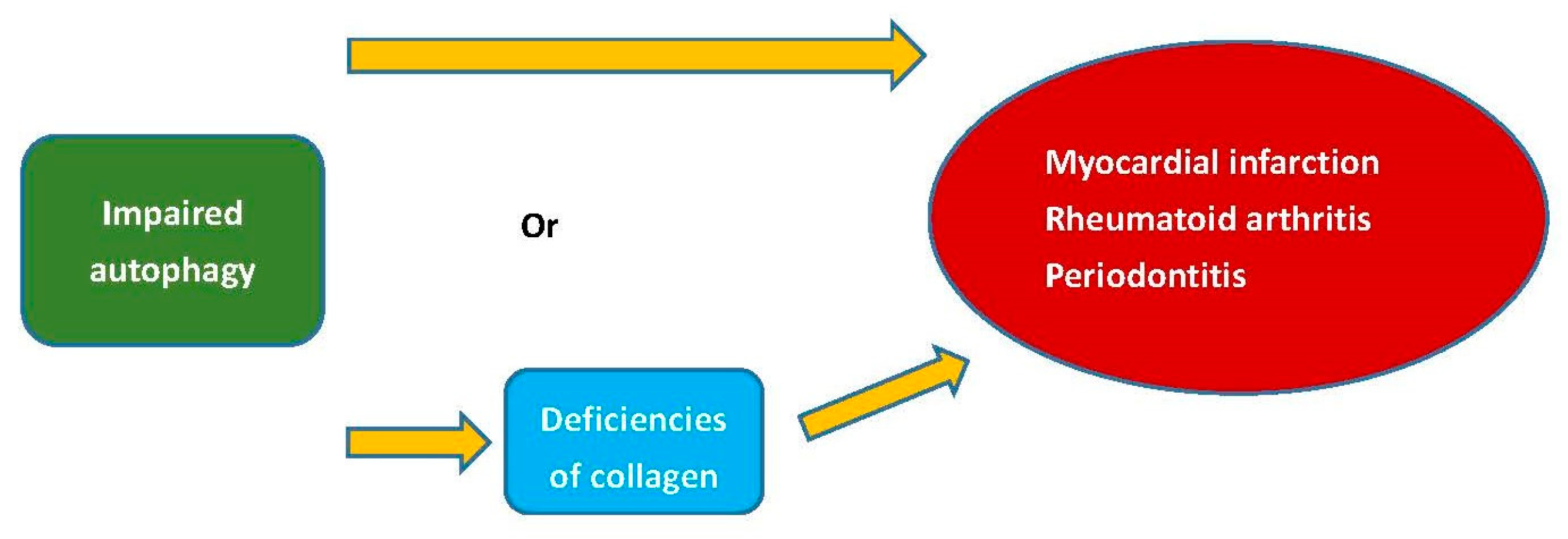 Polymers 15 03999 g003