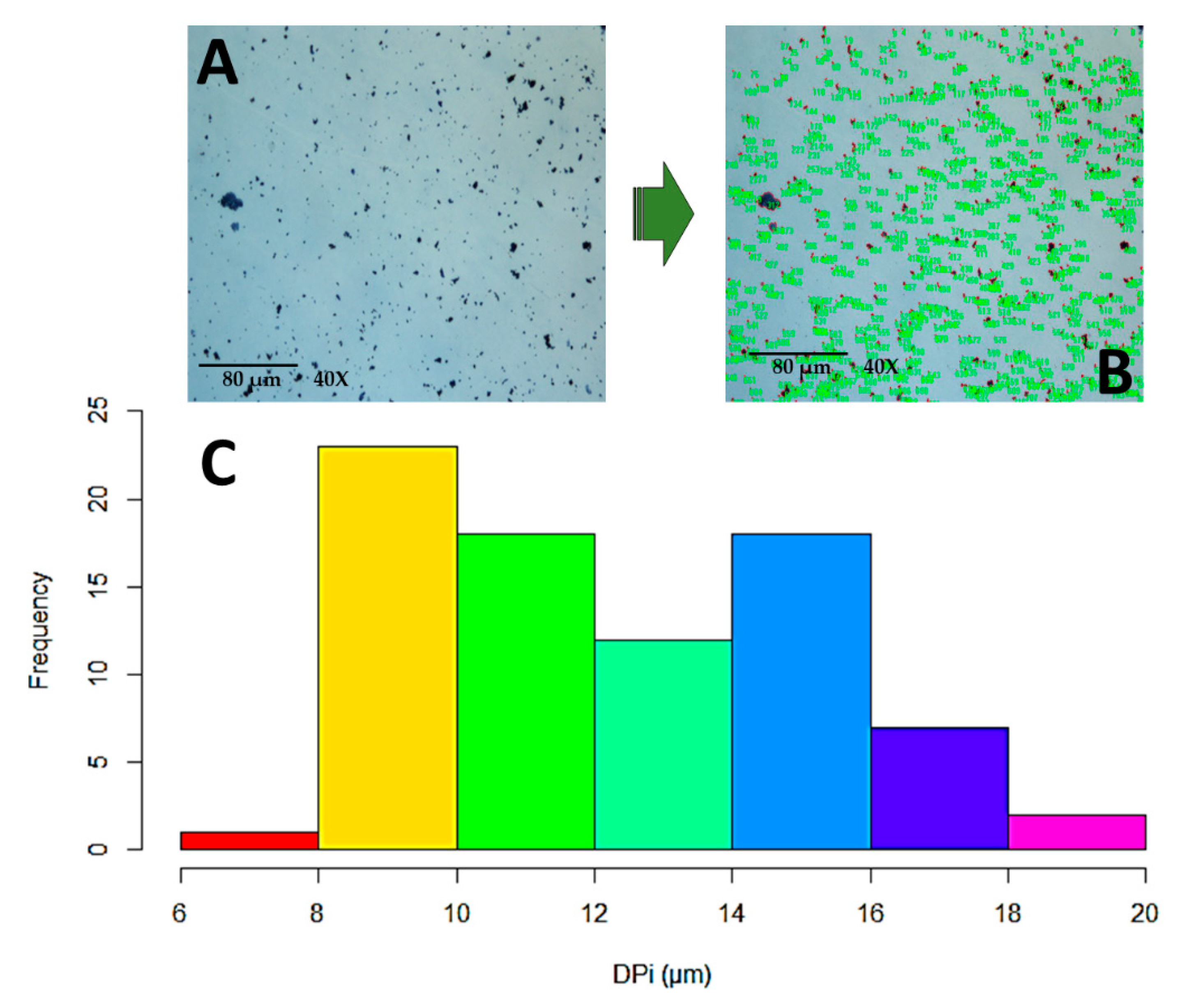 Polymers 15 04003 g002