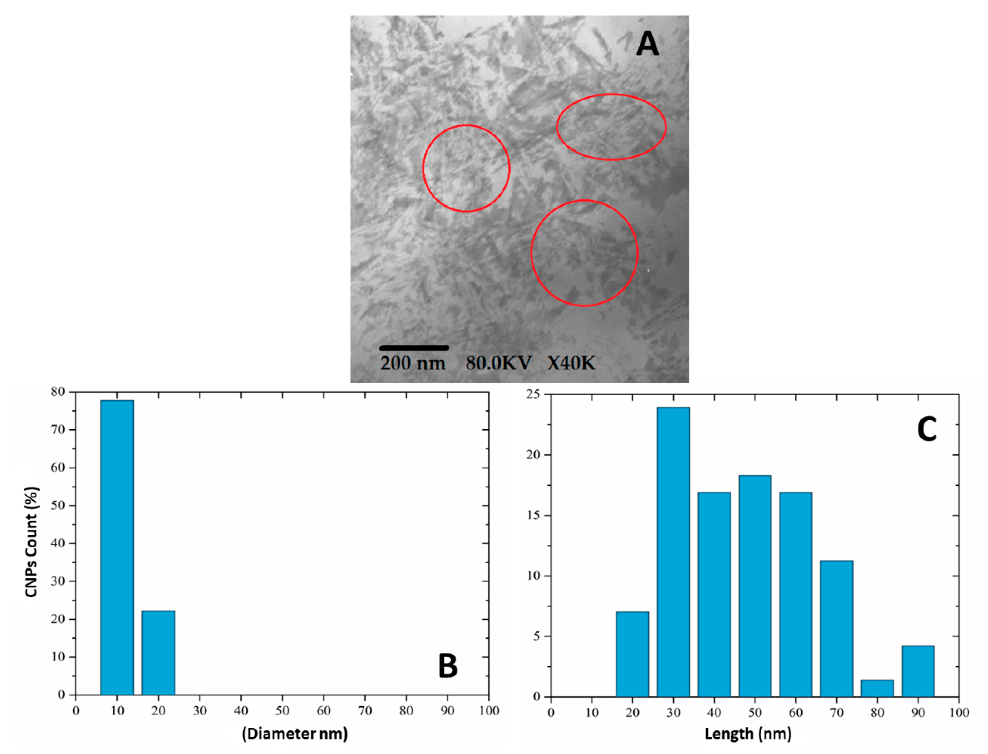 Polymers 15 04003 g003