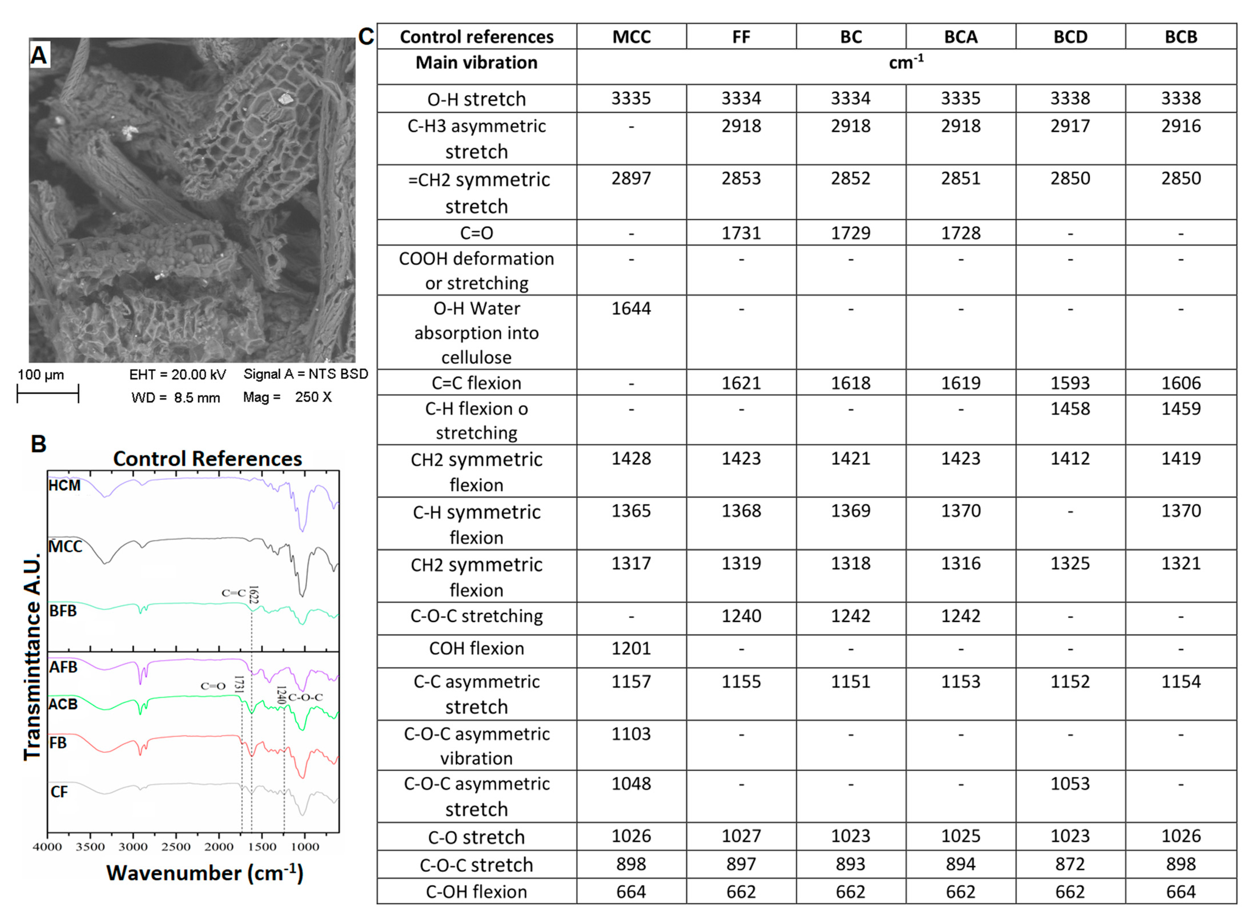 Polymers 15 04003 g004