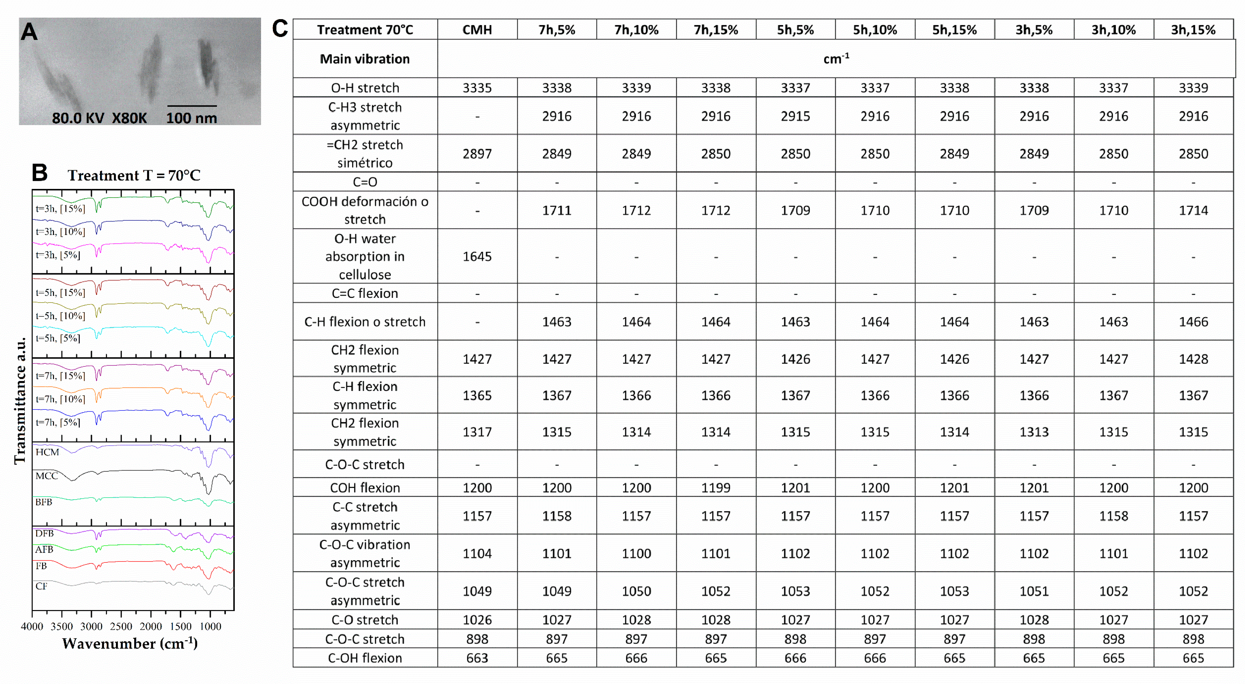 Polymers 15 04003 g005