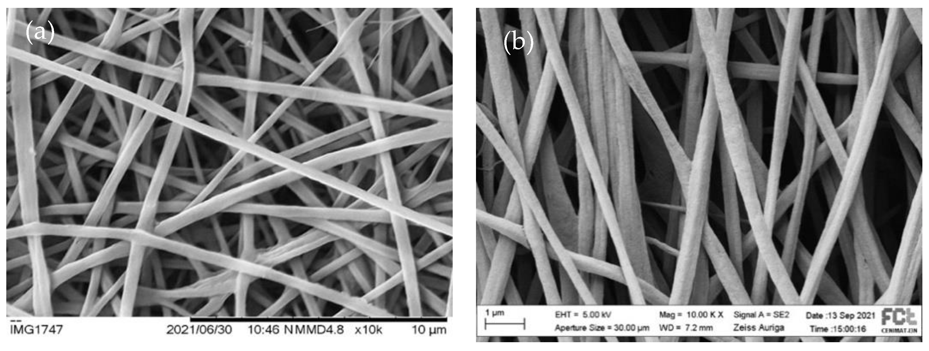 Polymers 15 04004 g004