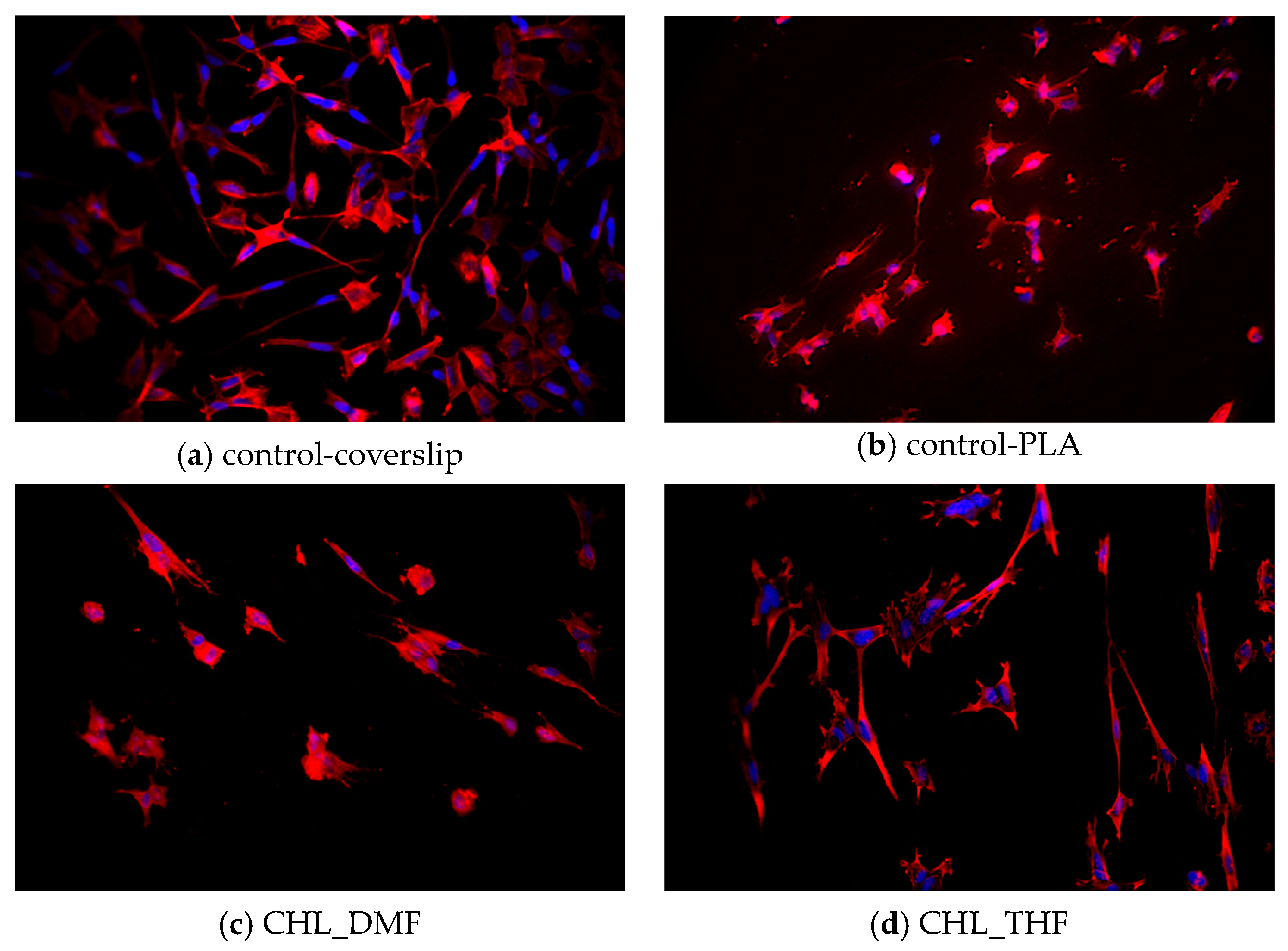 Polymers 15 04004 g007a