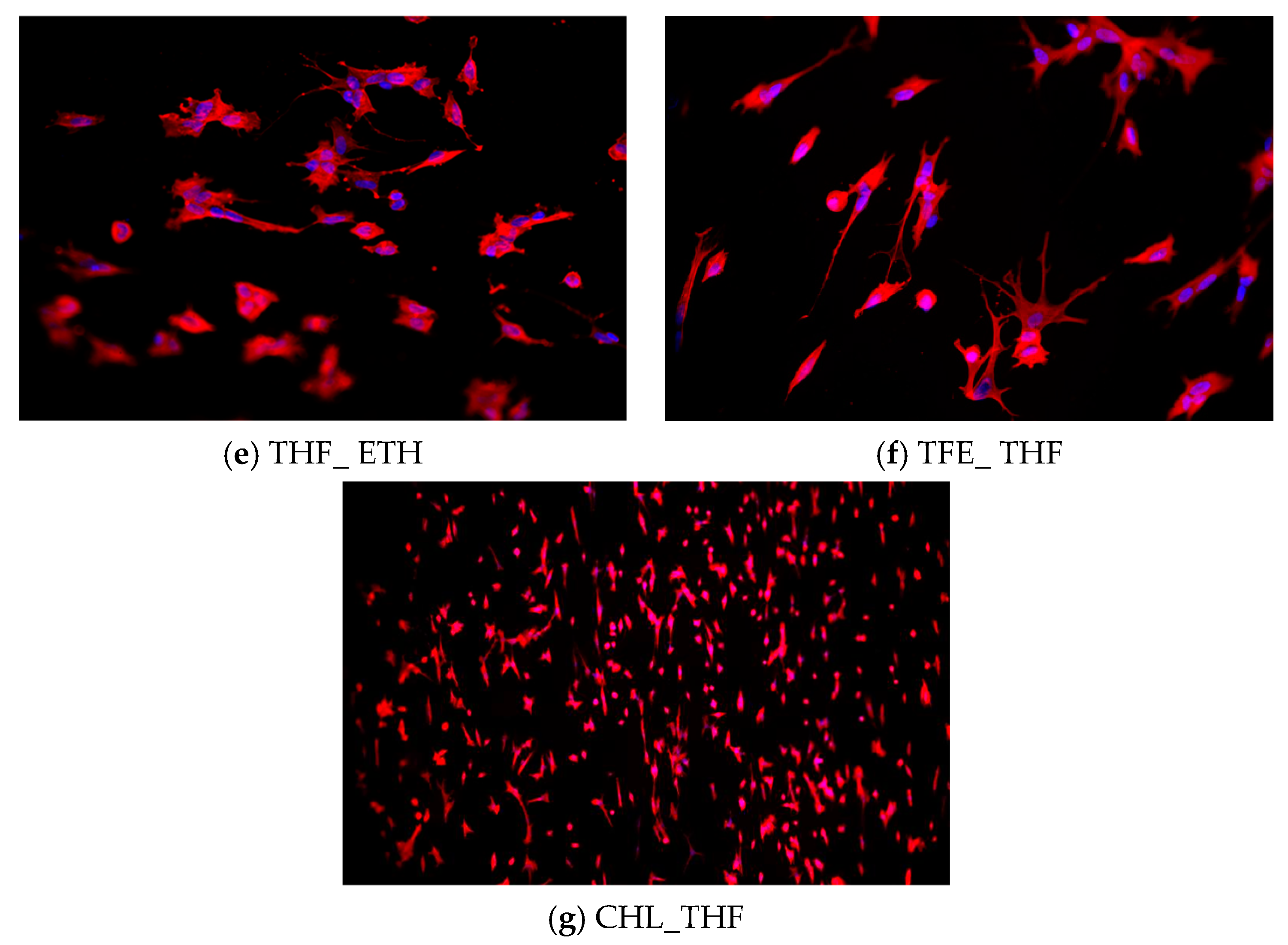 Polymers 15 04004 g007b
