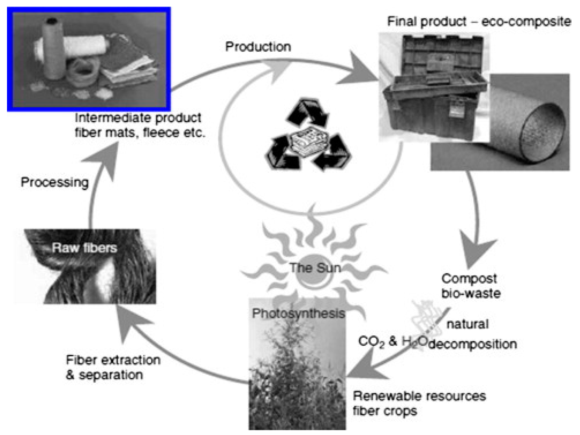 Polymers 15 04007 g001