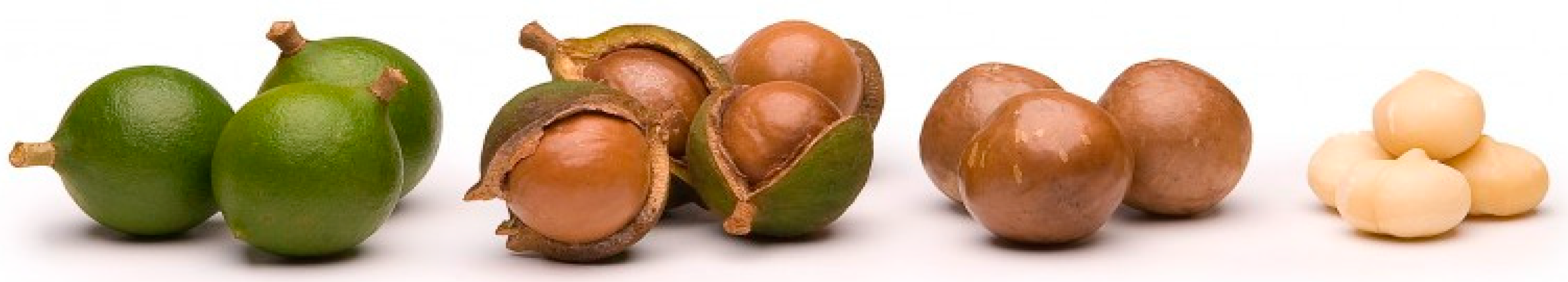 Polymers 15 04007 g002