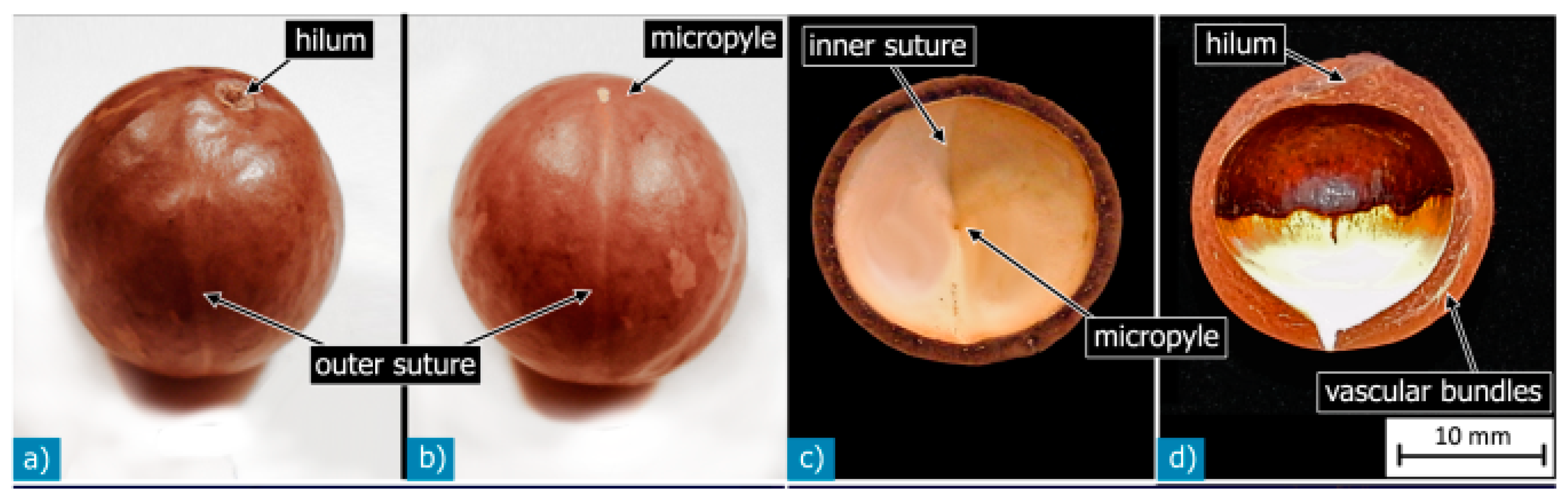 Polymers 15 04007 g003