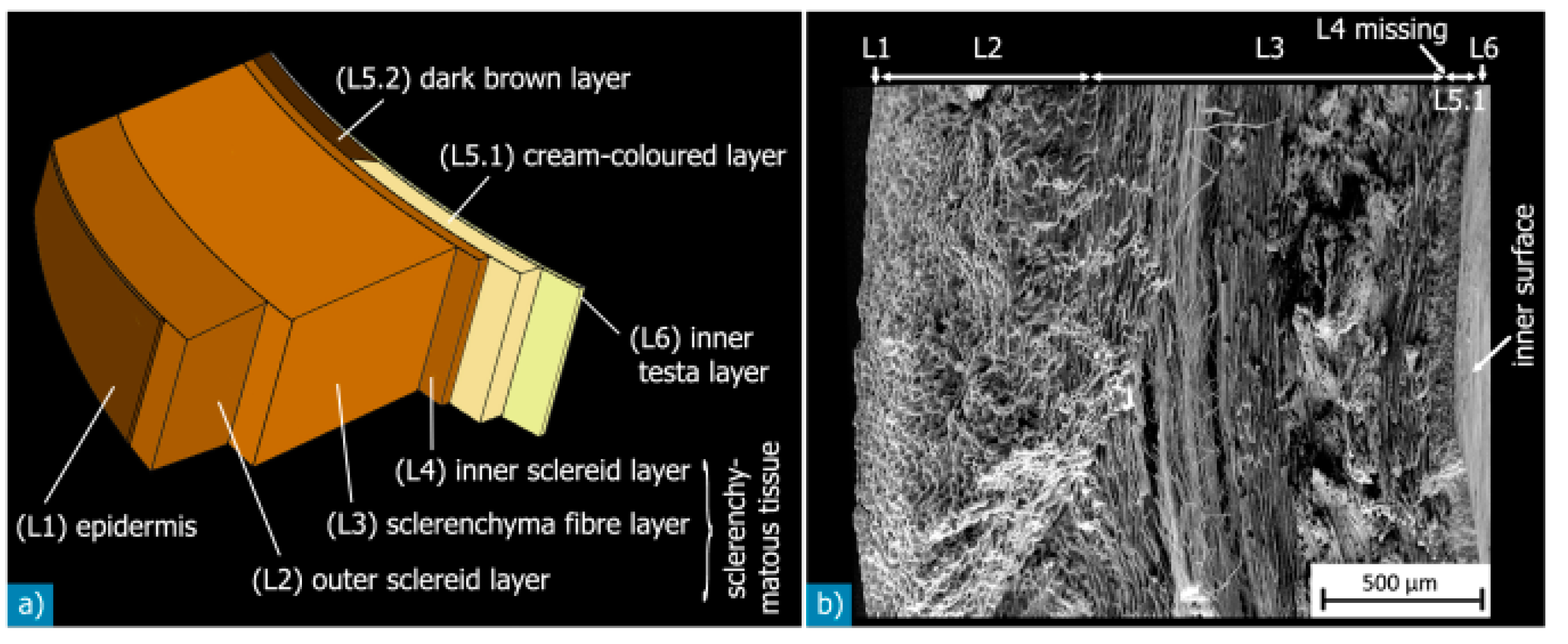 Polymers 15 04007 g004