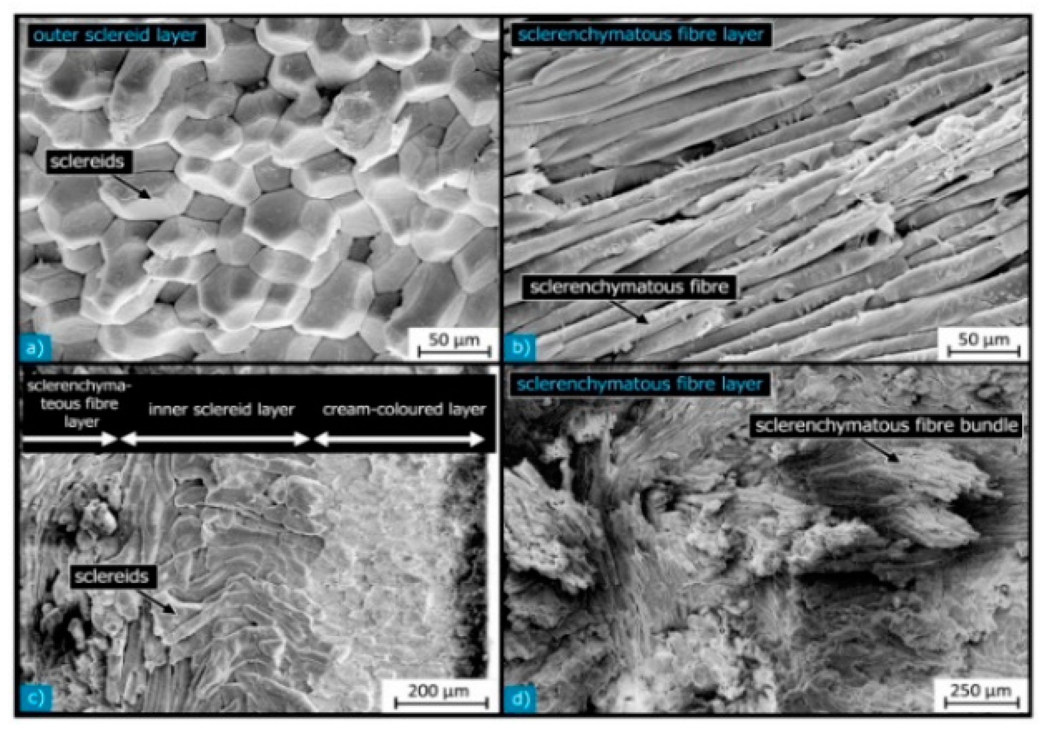 Polymers 15 04007 g005