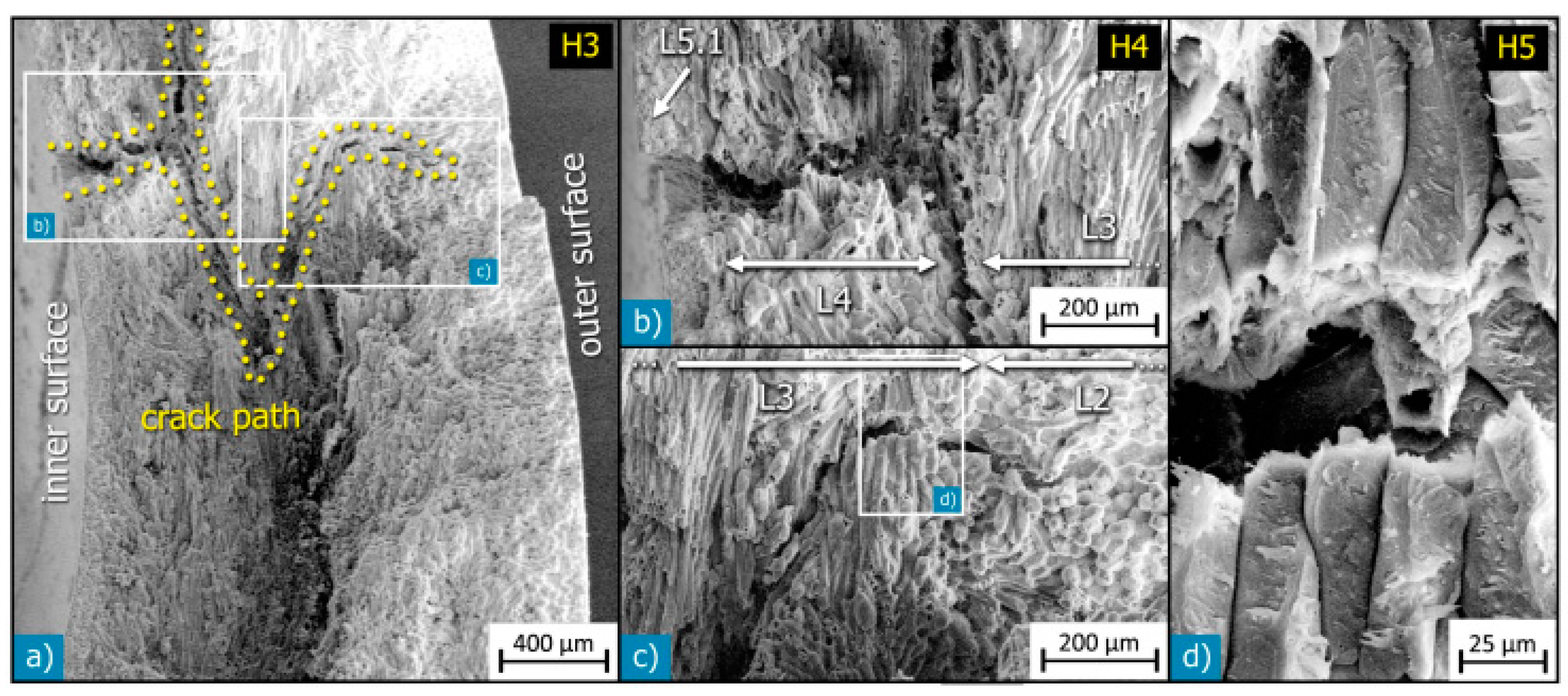 Polymers 15 04007 g006