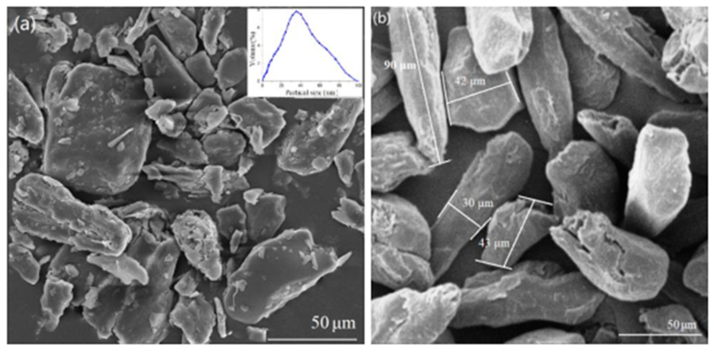 Polymers 15 04007 g010