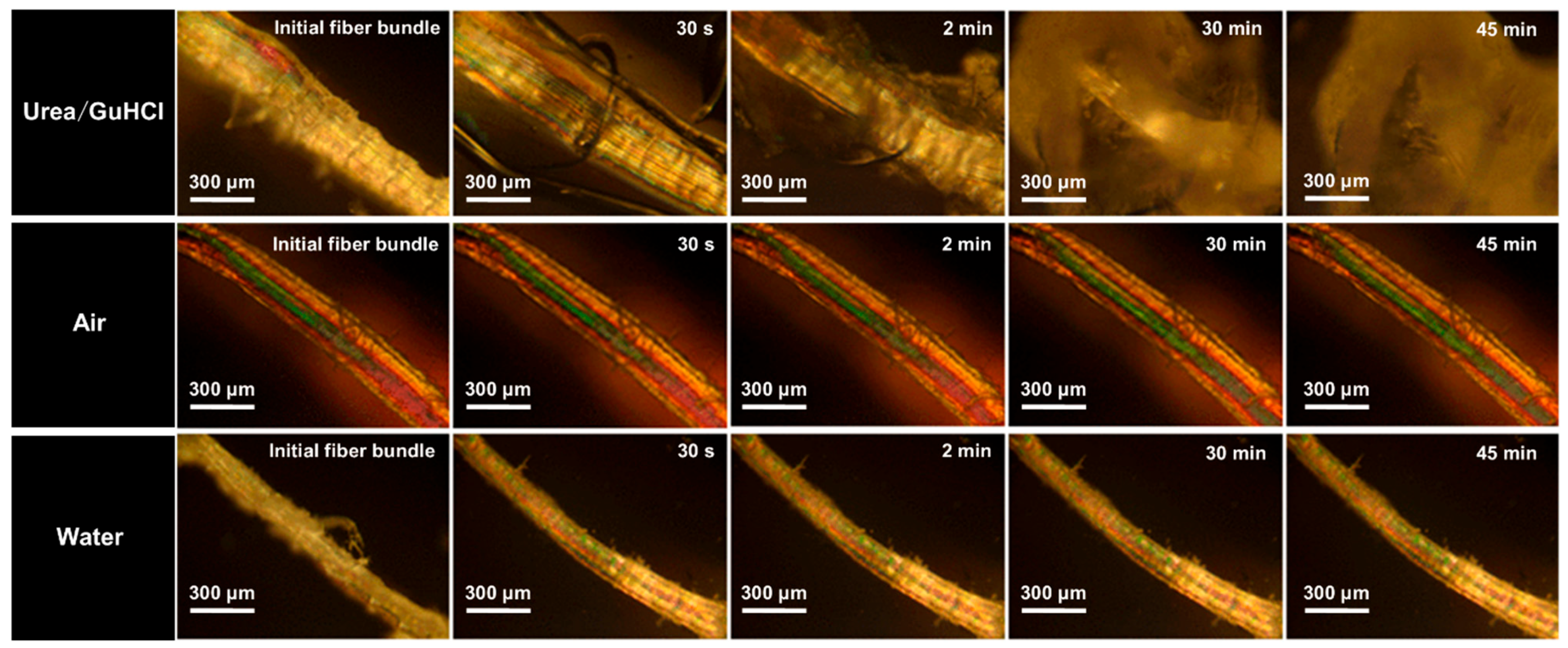 Polymers 15 04008 g002