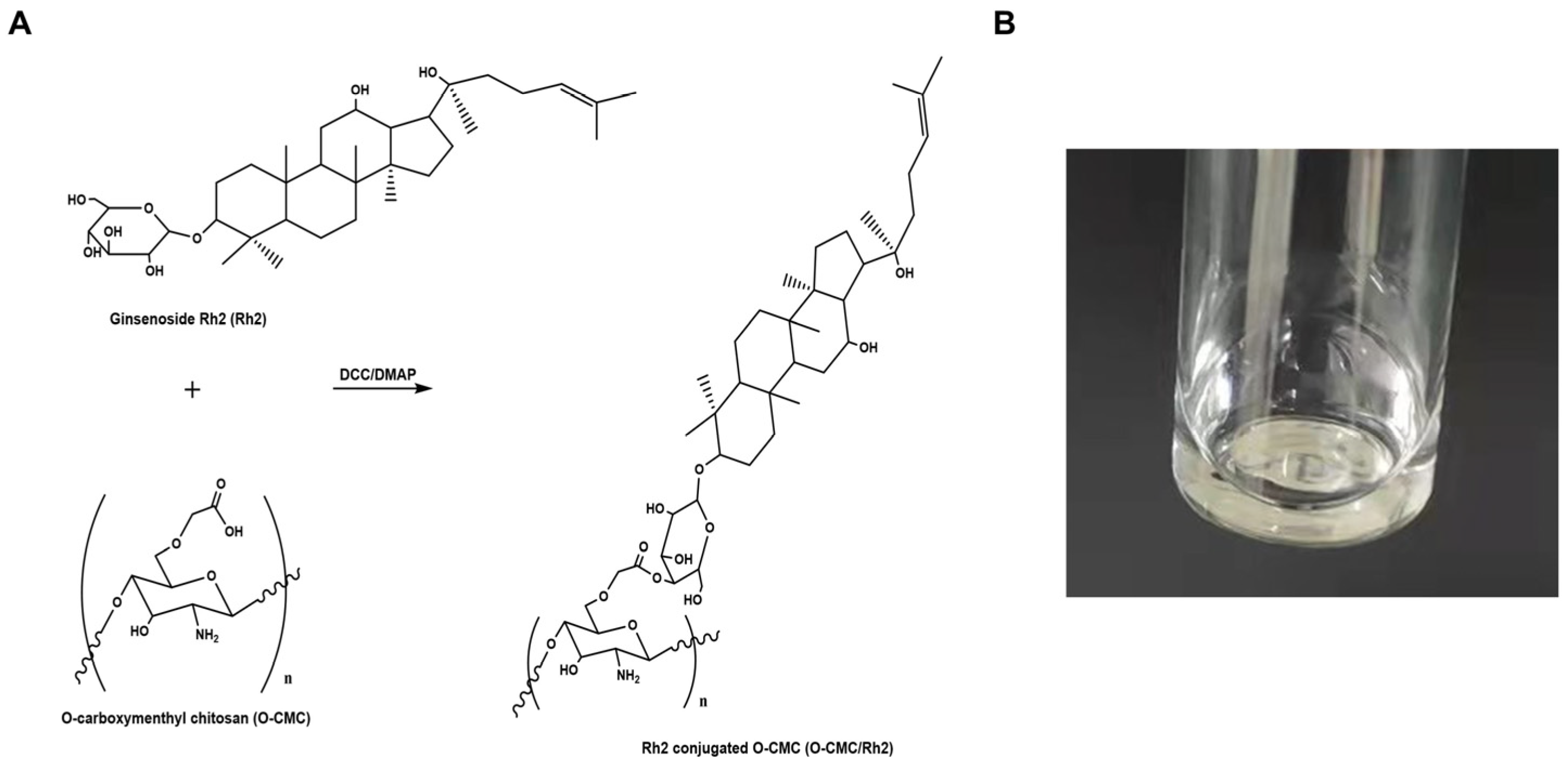 Polymers 15 04011 g001