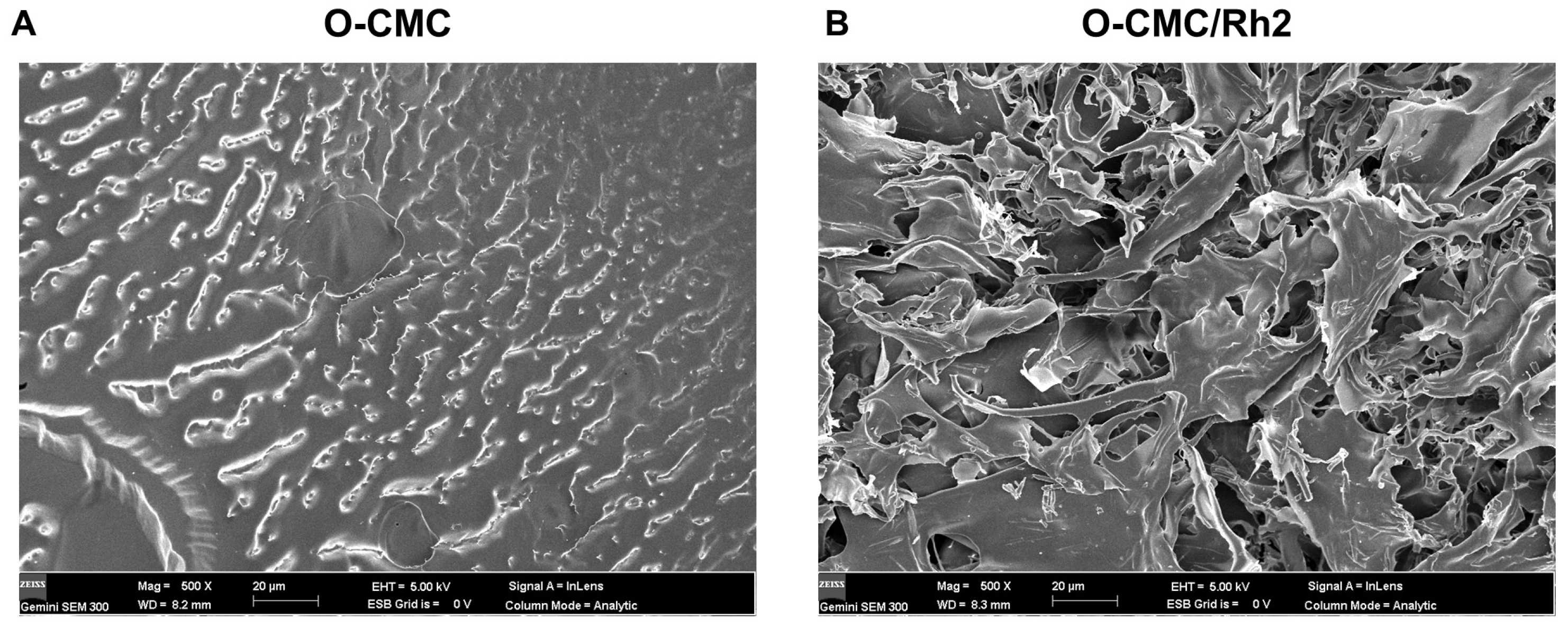Polymers 15 04011 g003