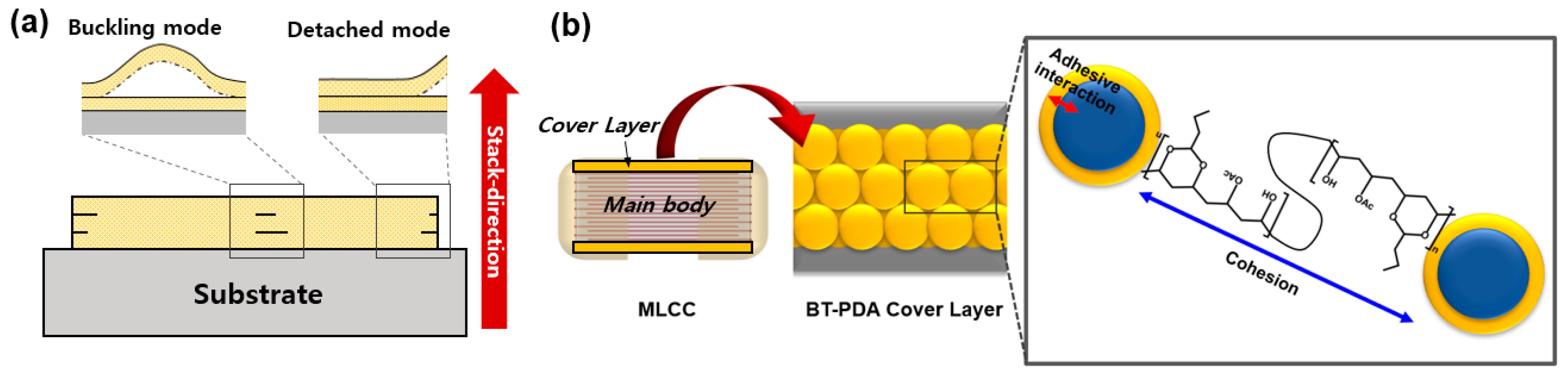 Polymers 15 04014 g001