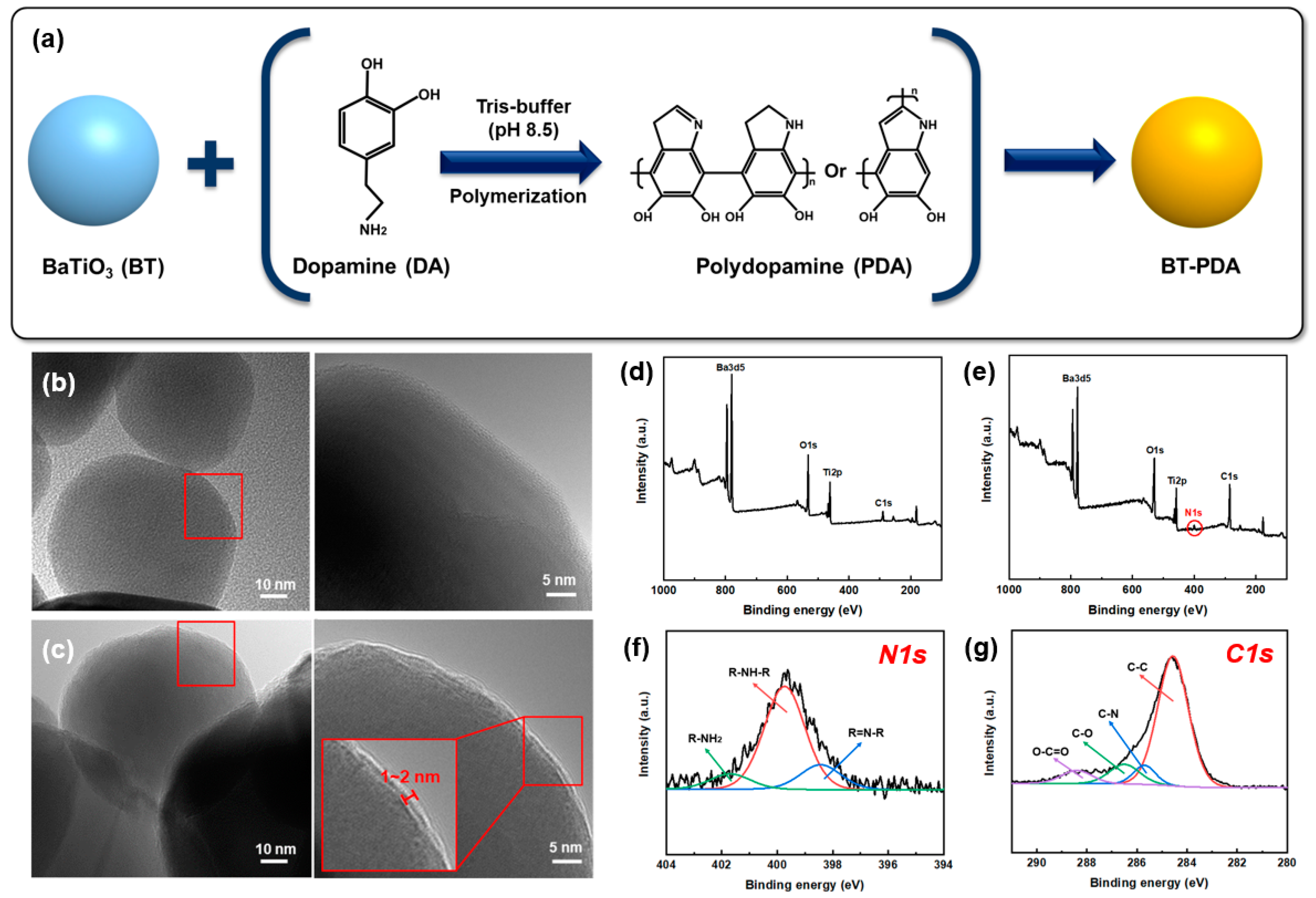 Polymers 15 04014 g003