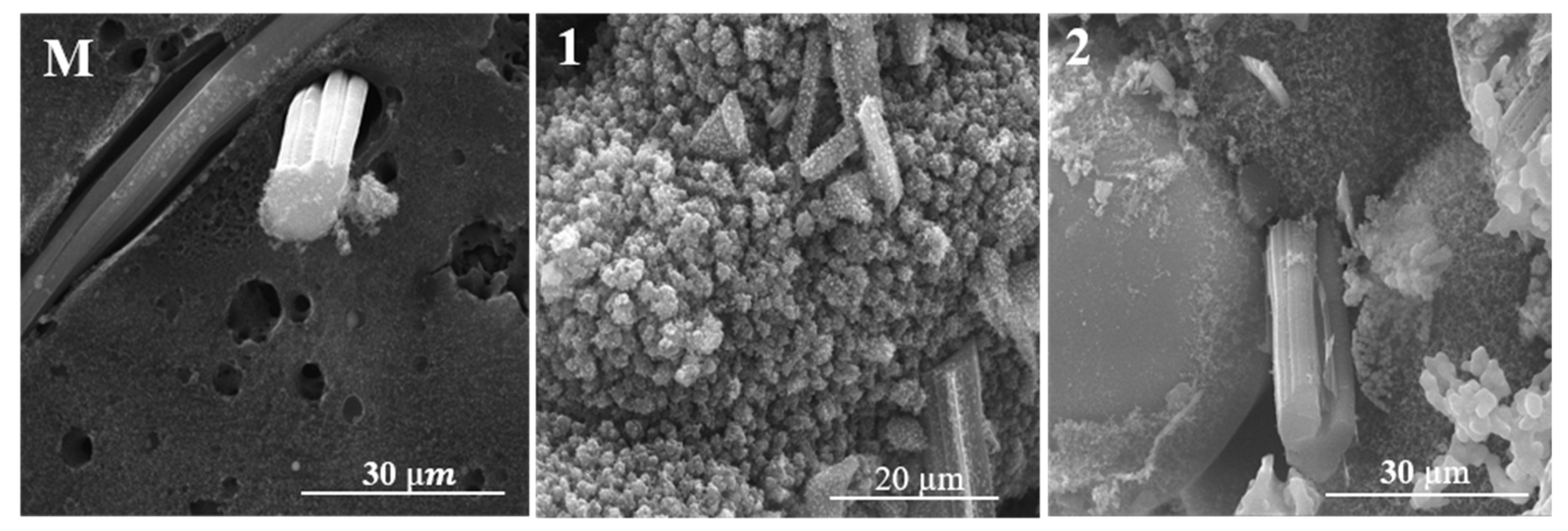Polymers 15 04016 g012