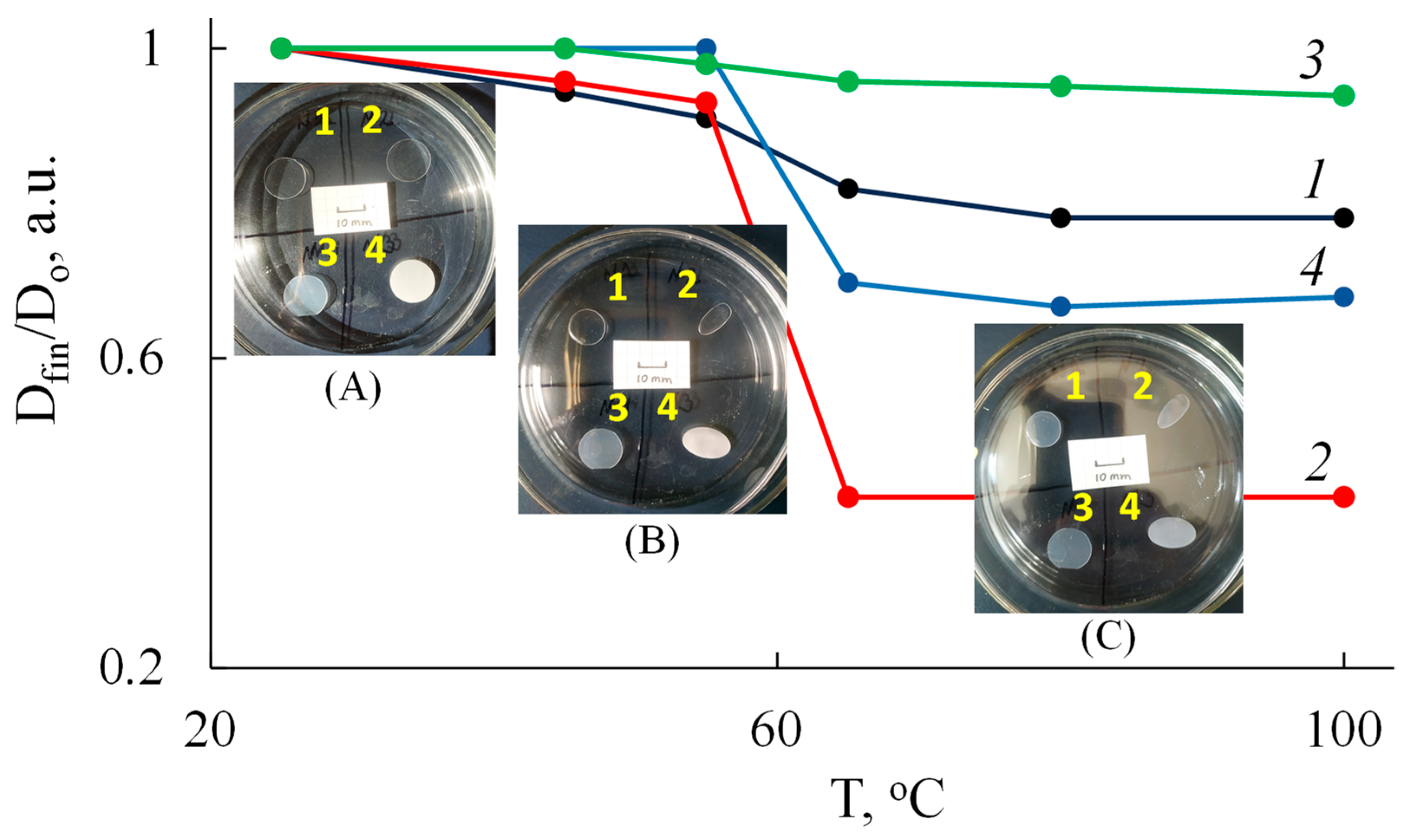 Polymers 15 04017 g004