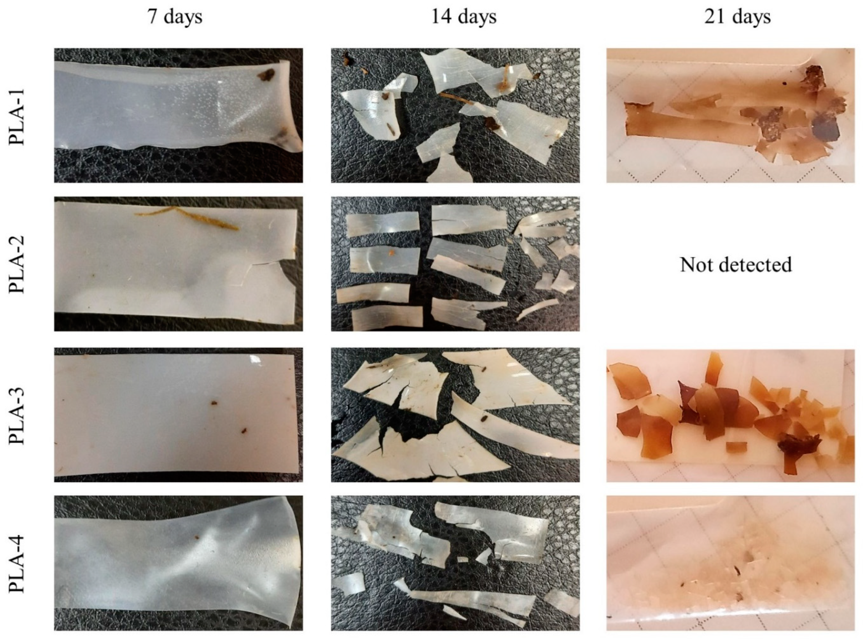 Polymers 15 04017 g006