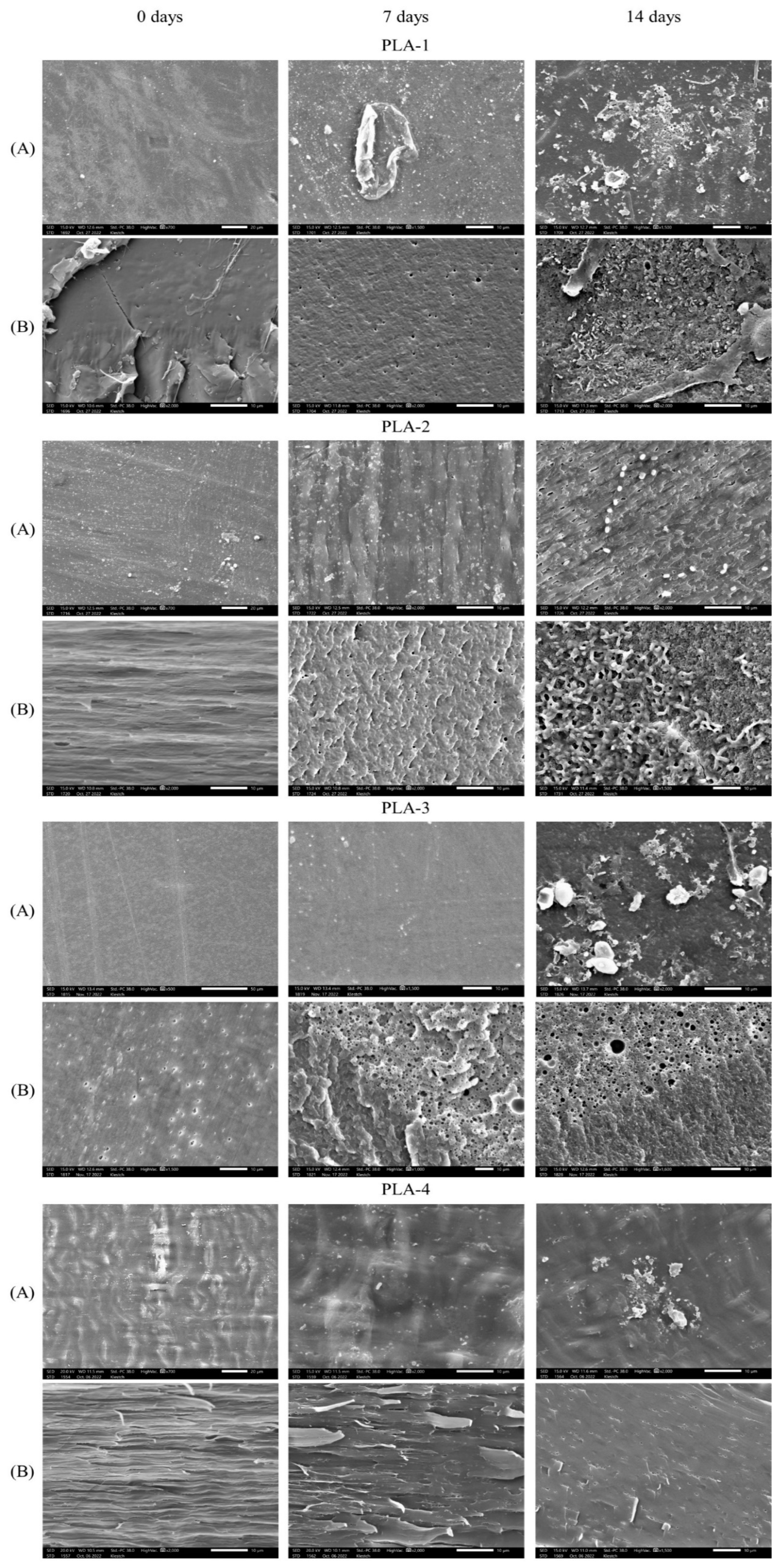 Polymers 15 04017 g007