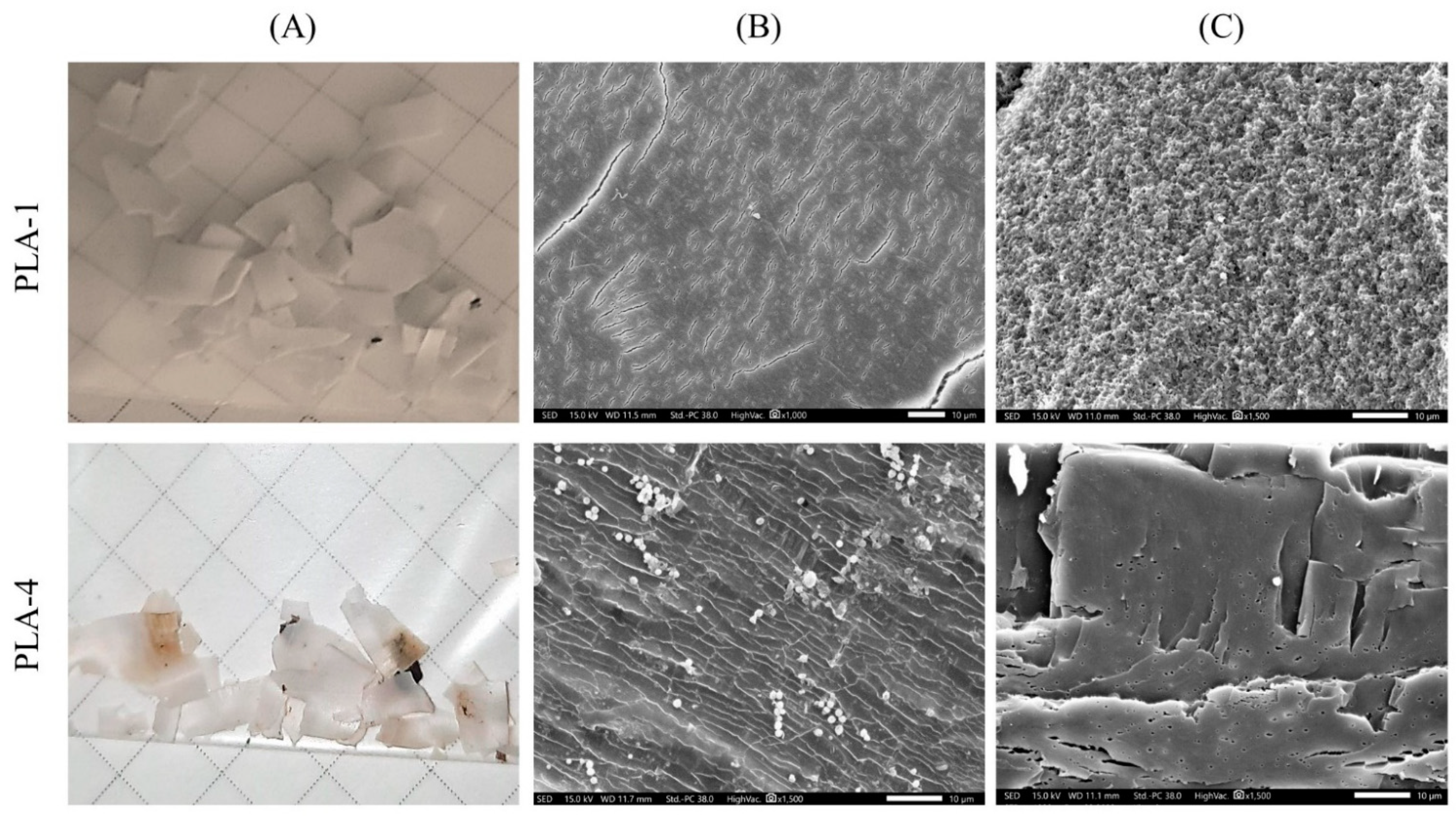 Polymers 15 04017 g012
