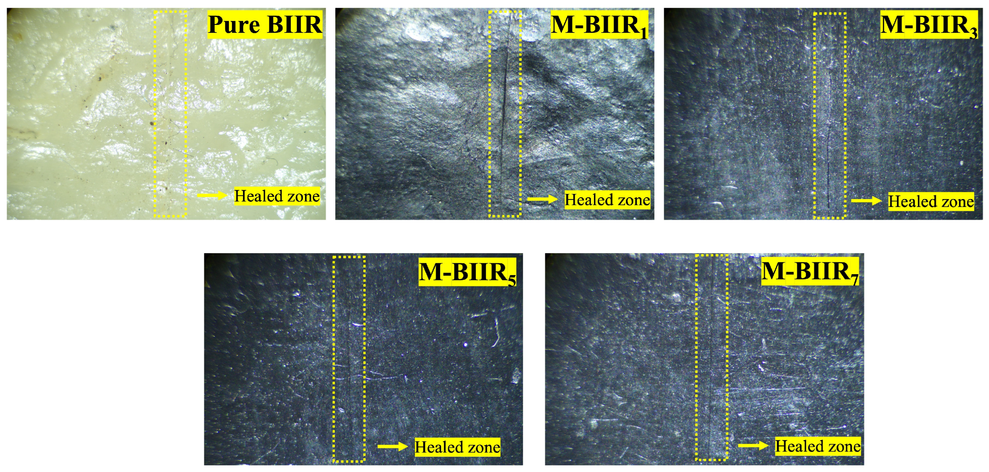 Polymers 15 04023 g003
