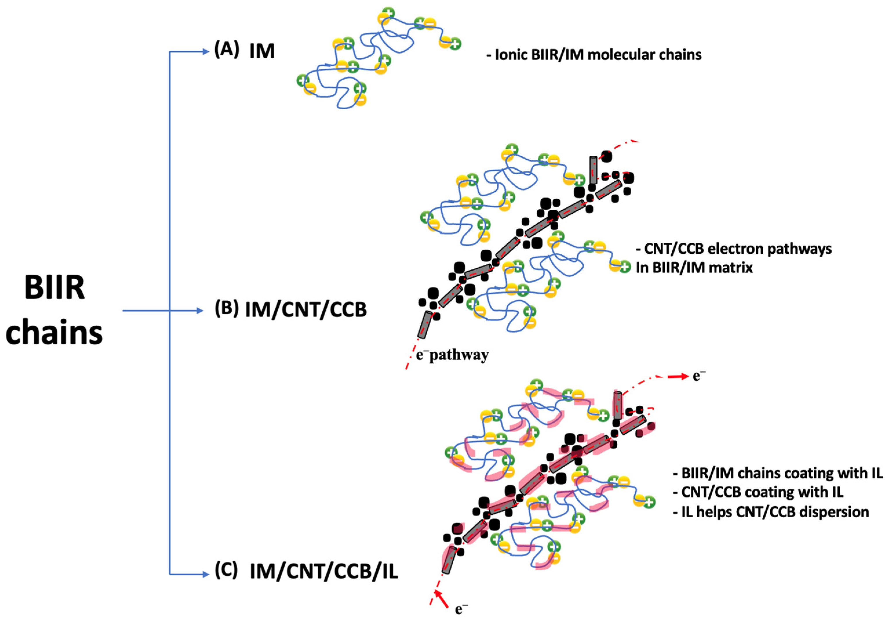 Polymers 15 04023 g004