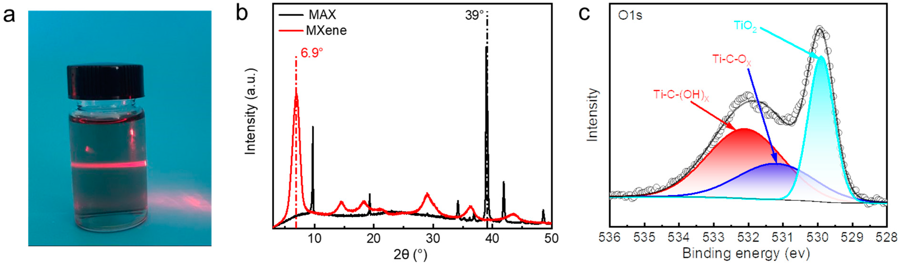 Polymers 15 04025 g001