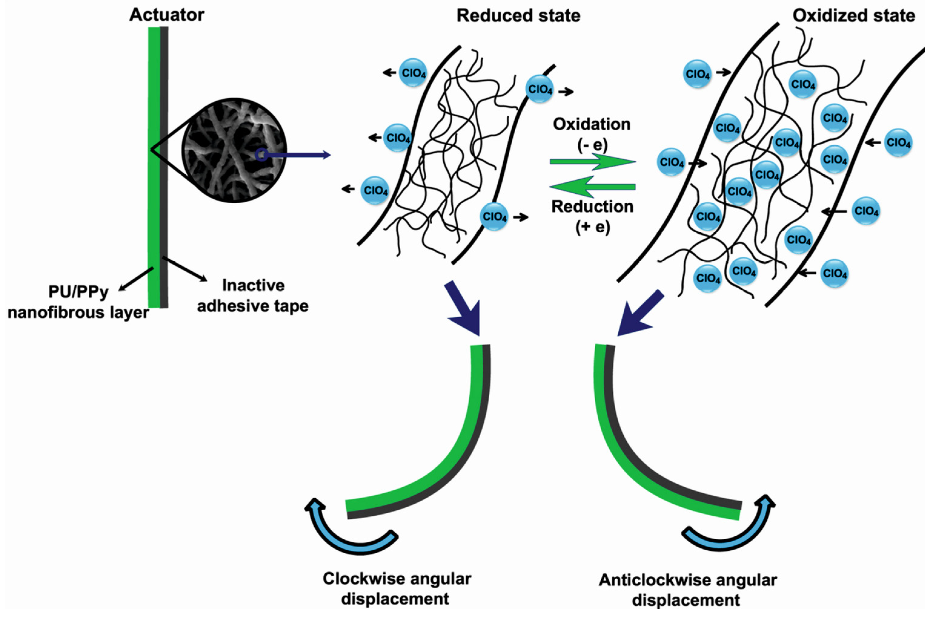 Polymers 15 04029 g009