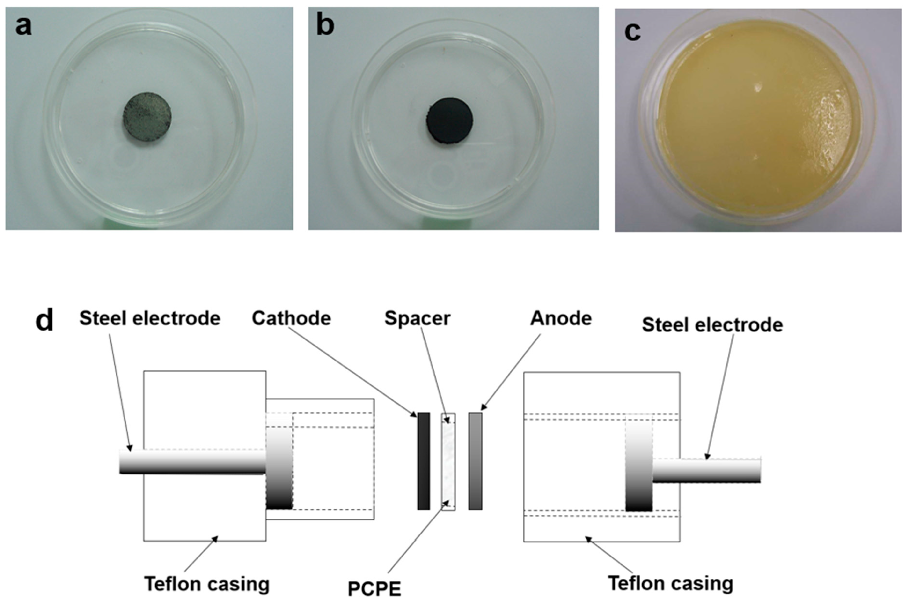 Polymers 15 04032 g001