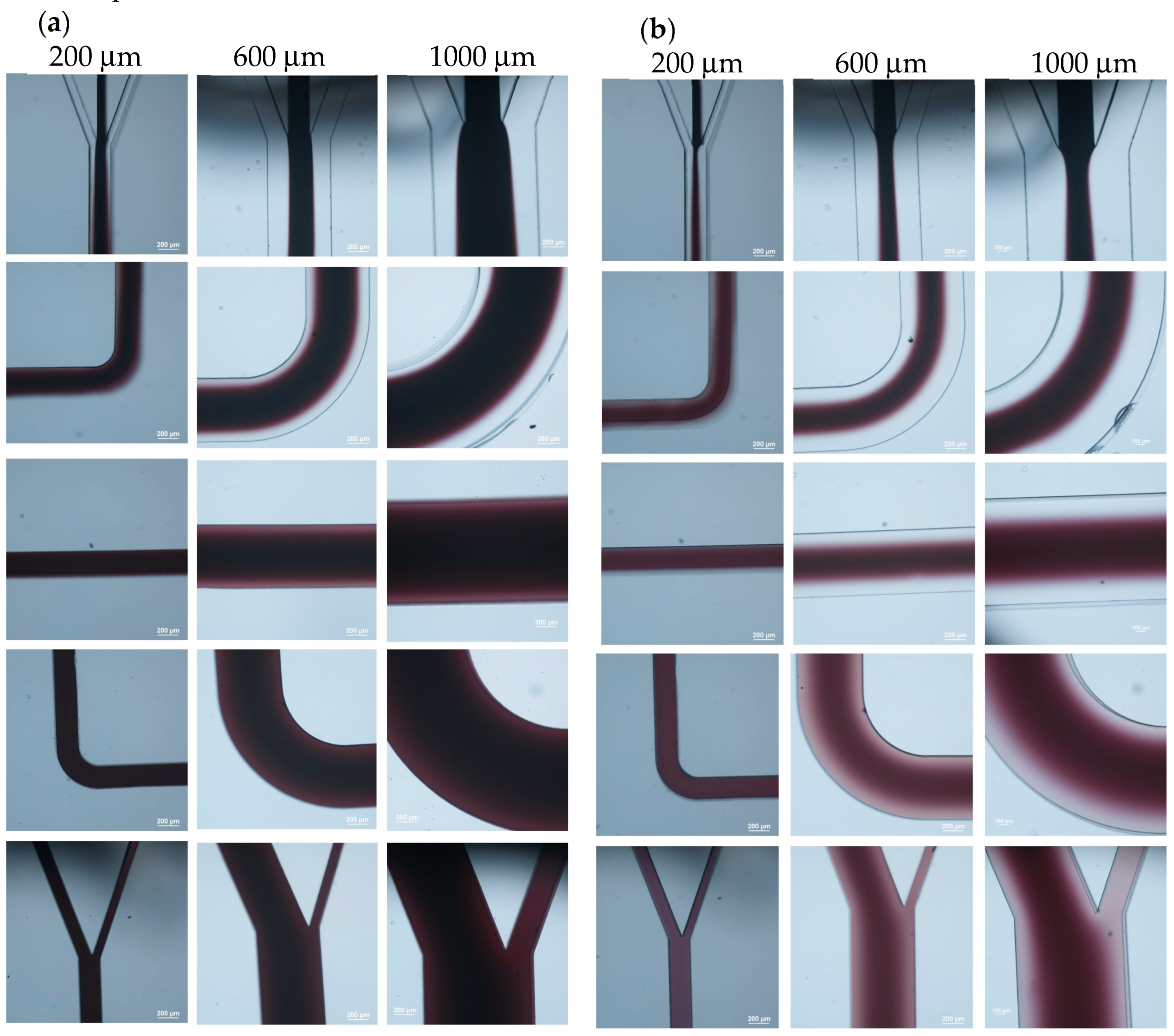Polymers 15 04033 g002