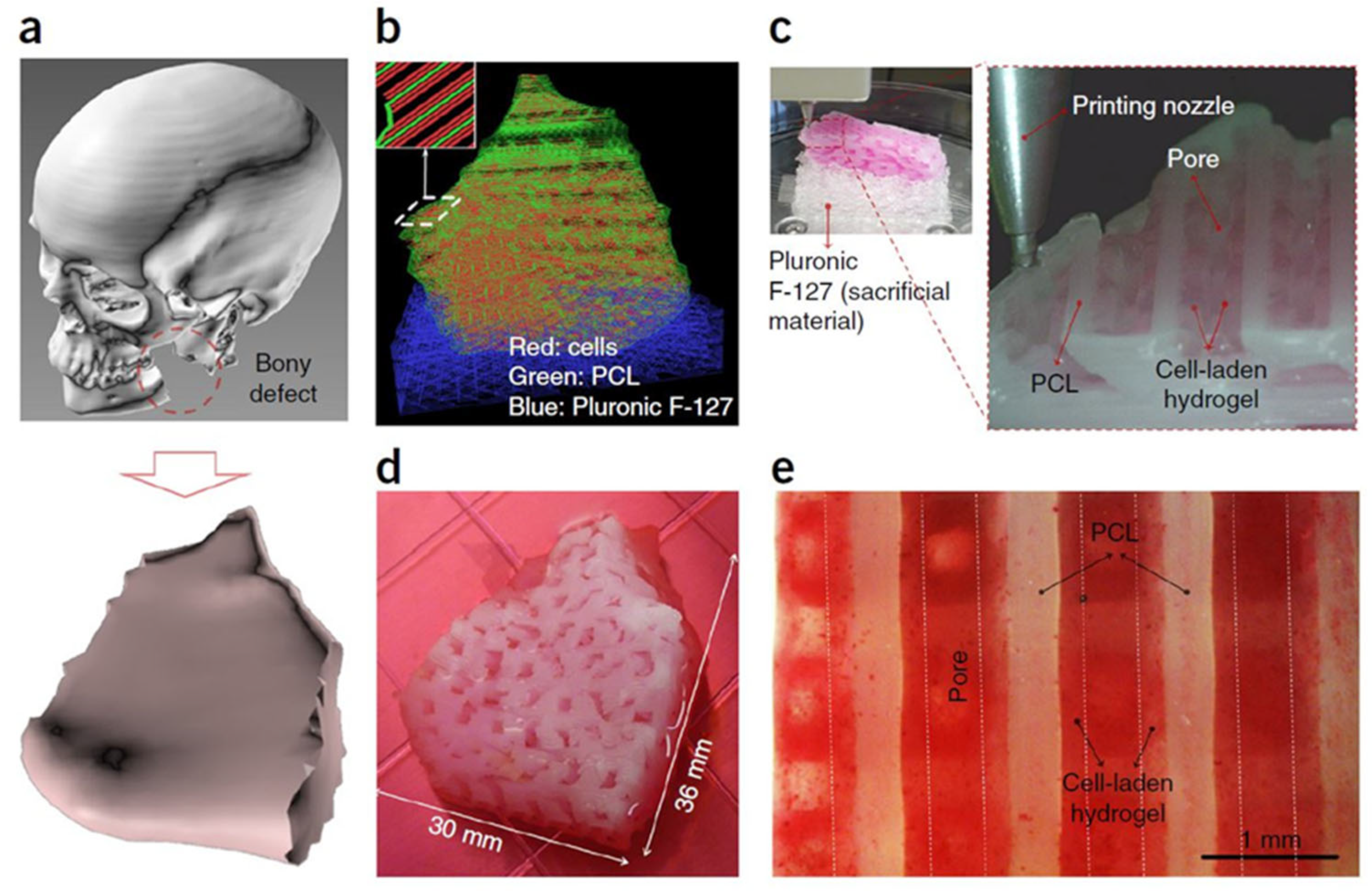 Polymers 15 04034 g002 Polymers 15 04034 g002