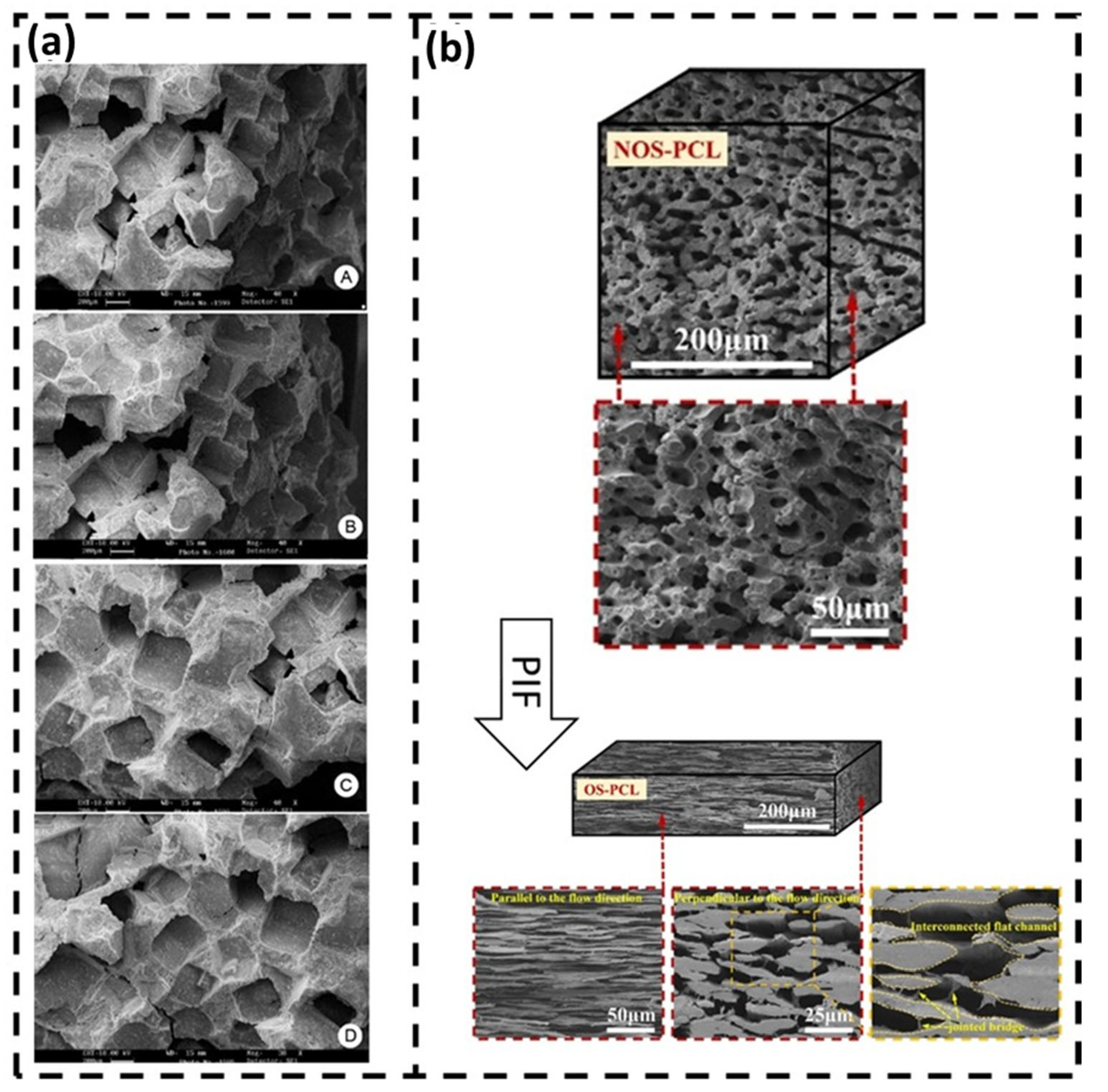 Polymers 15 04034 g003 Polymers 15 04034 g003
