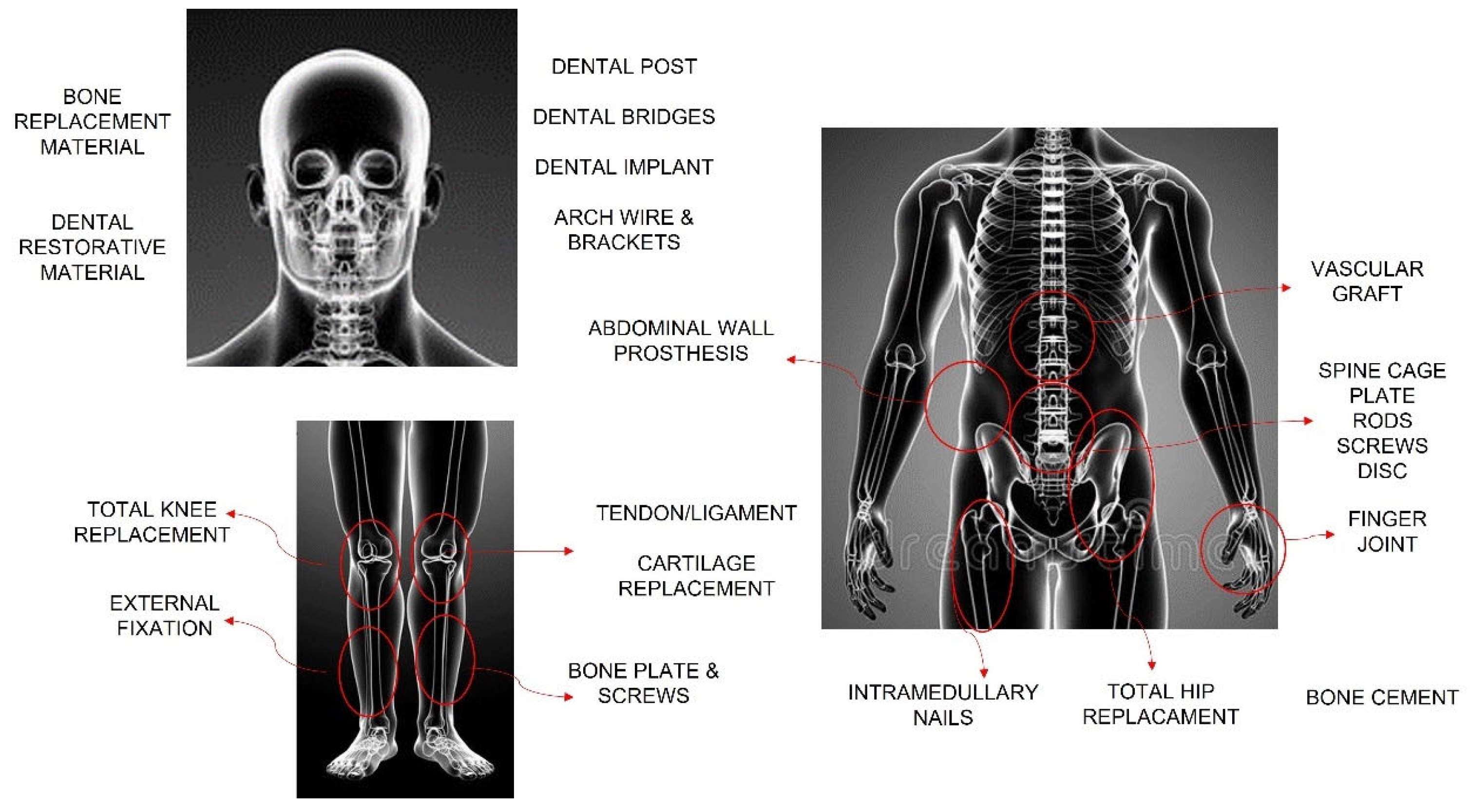 Polymers 15 04034 g005 Polymers 15 04034 g005