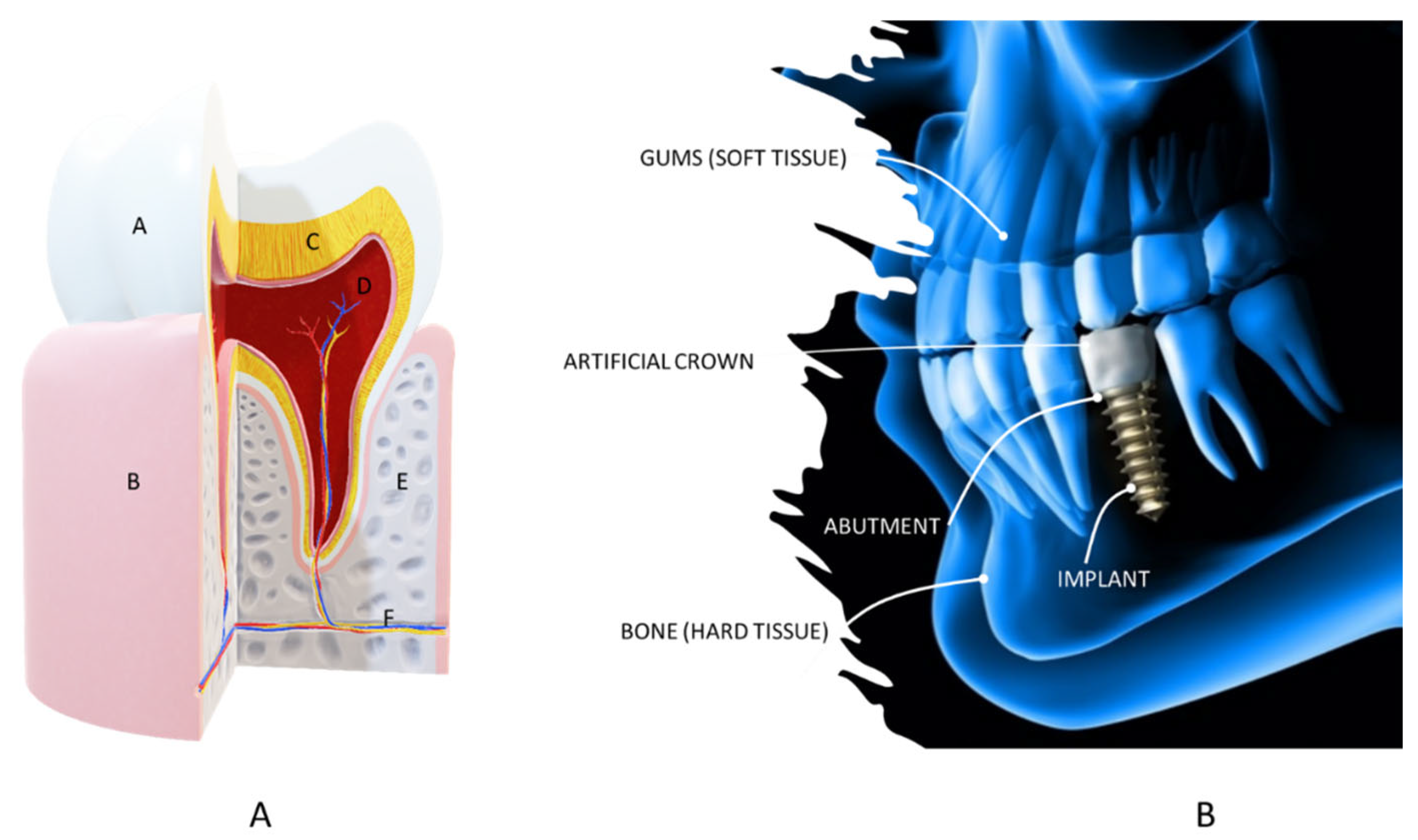 Polymers 15 04034 g006 Polymers 15 04034 g006