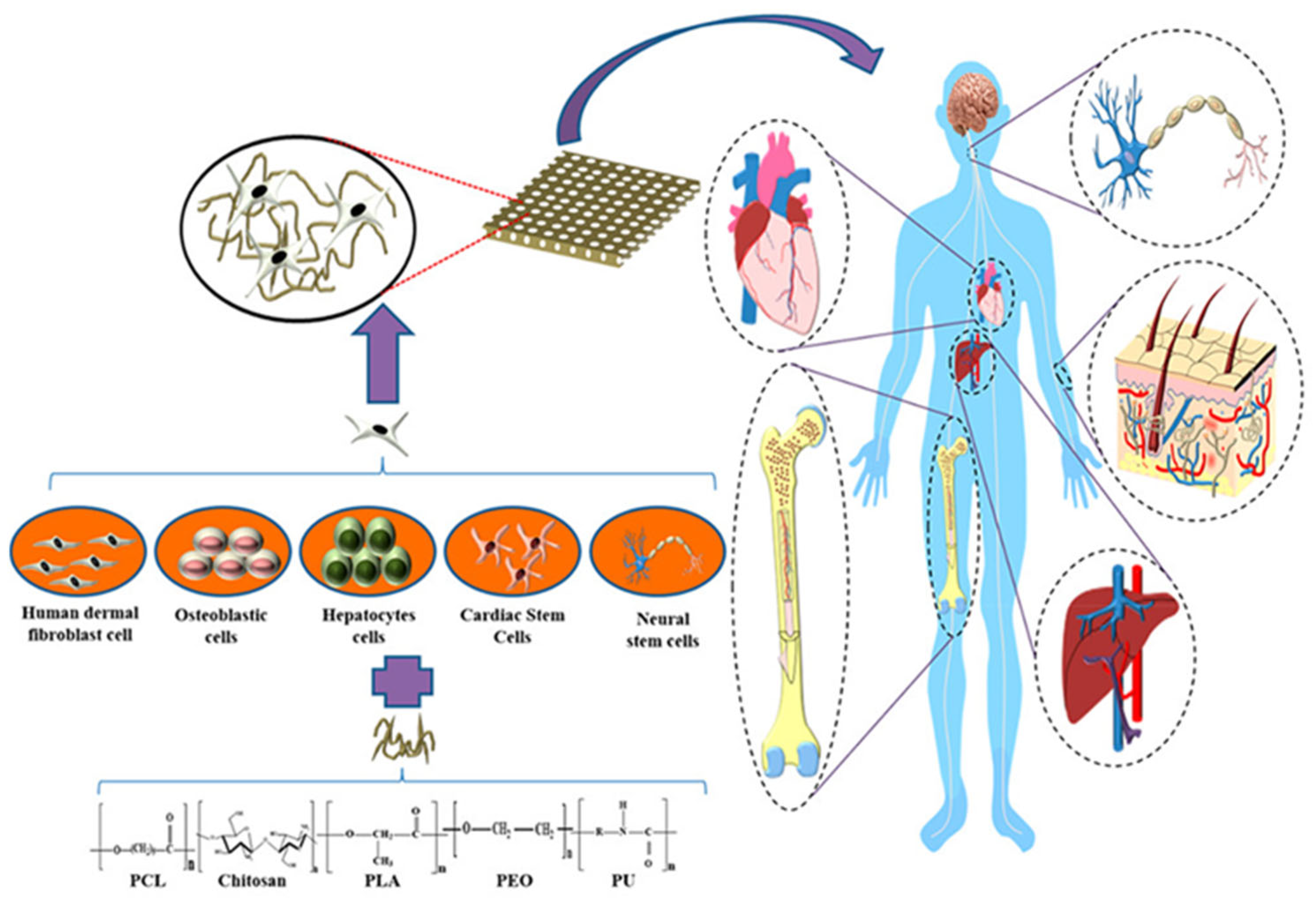 Polymers 15 04034 g008 Polymers 15 04034 g008