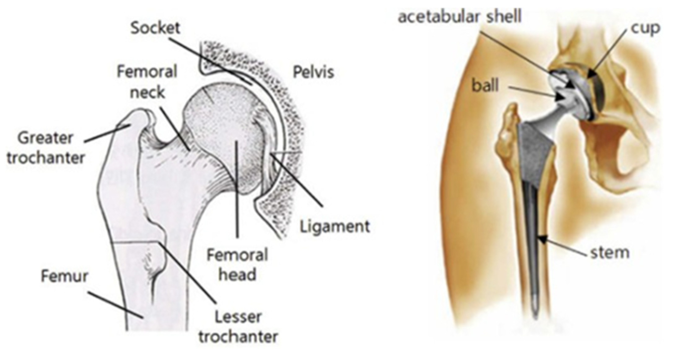 Polymers 15 04038 g003