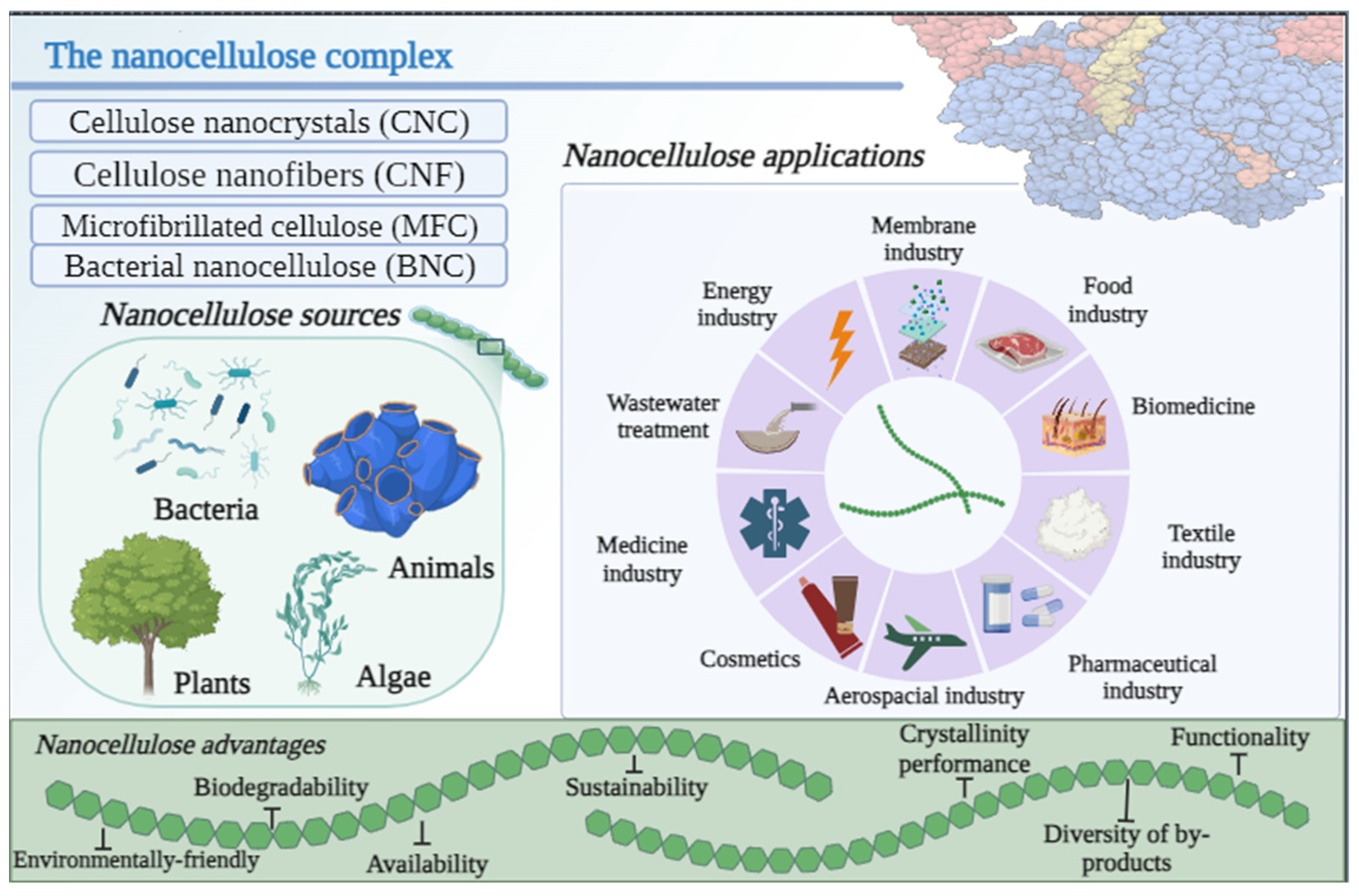Polymers 15 04046 g002