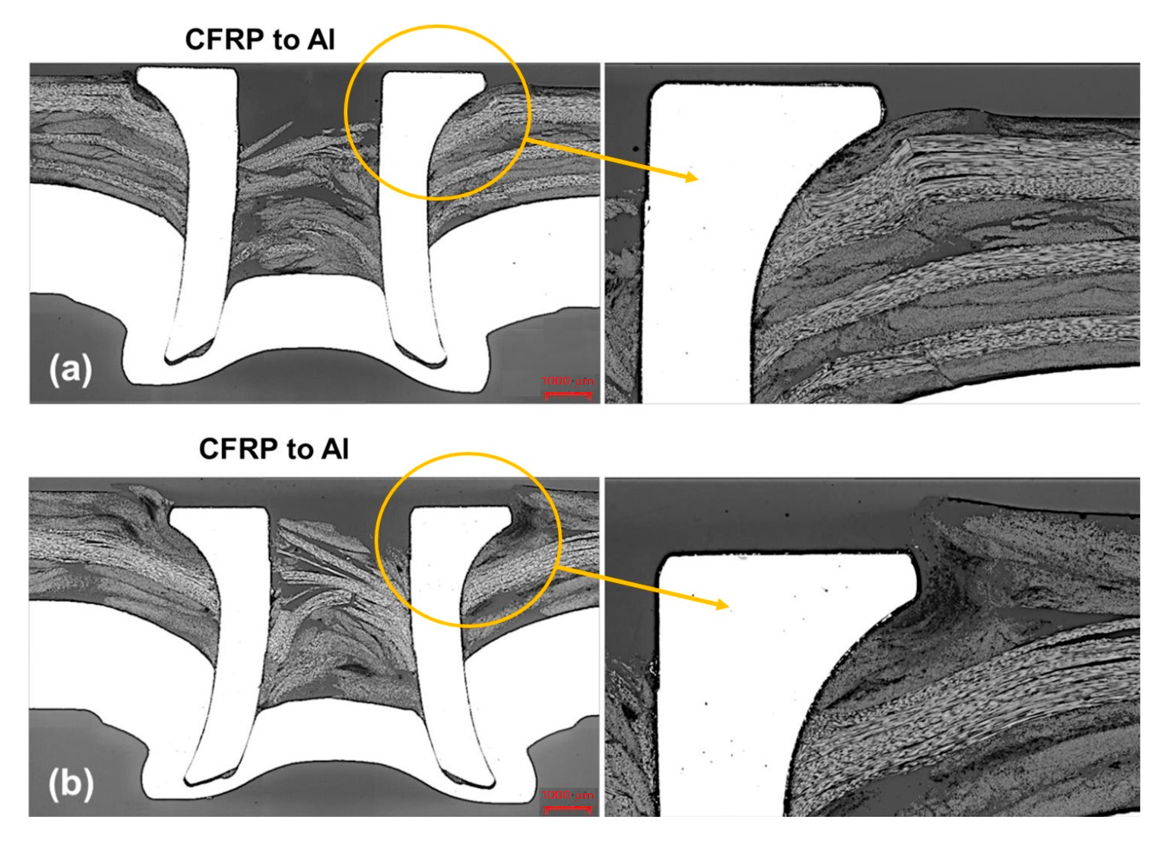 Polymers 15 04053 g013