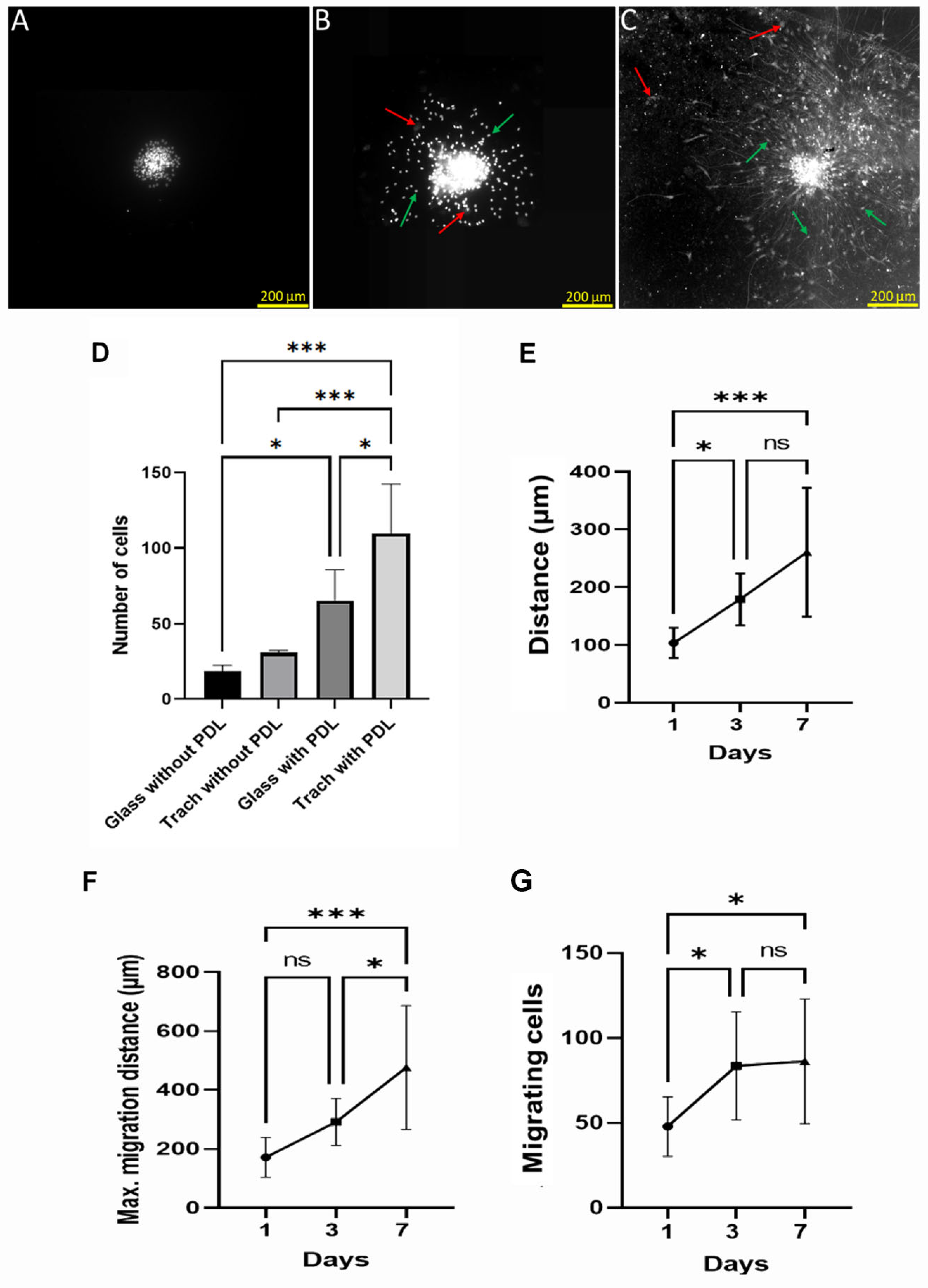 Polymers 15 04054 g001