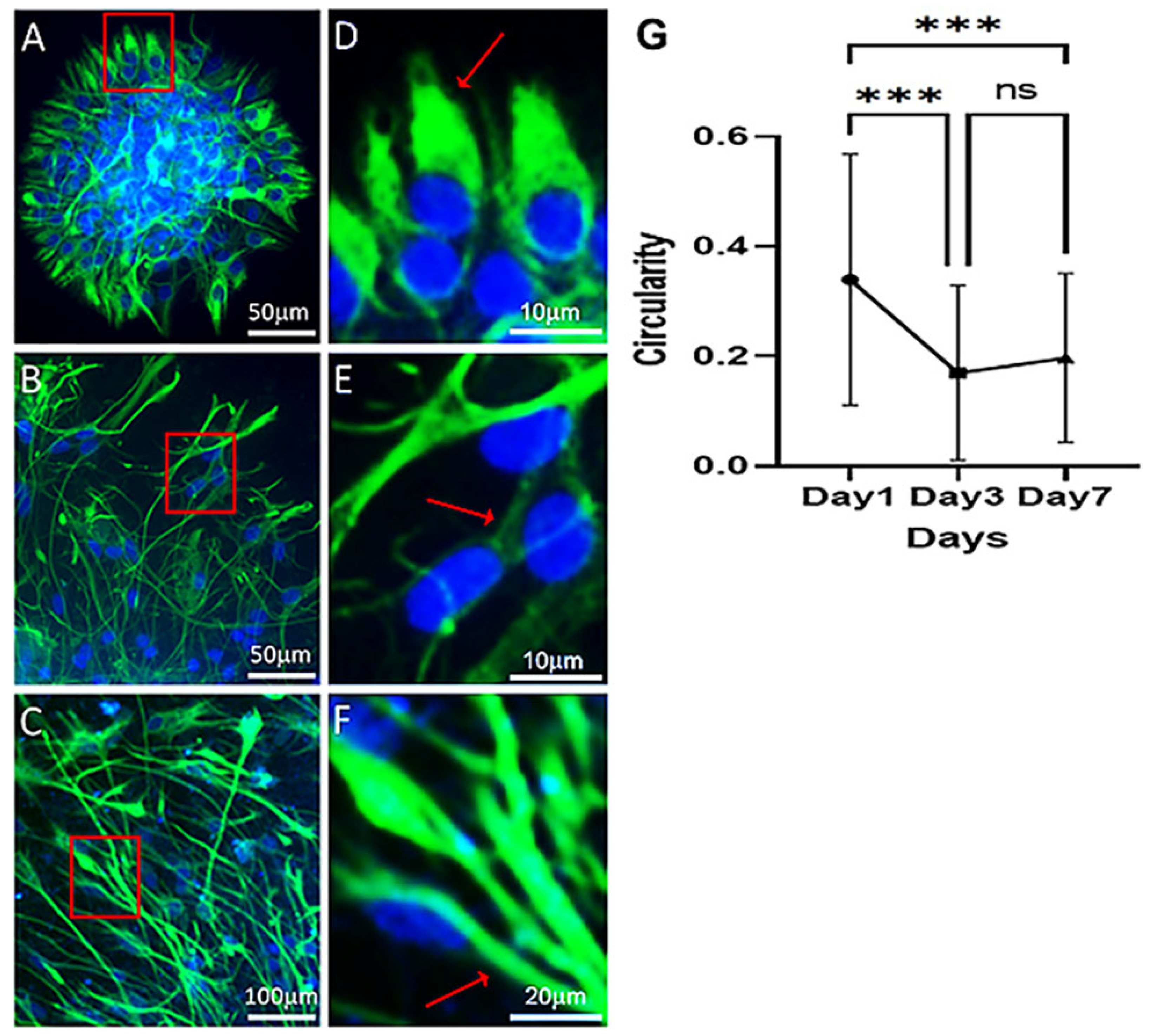 Polymers 15 04054 g003