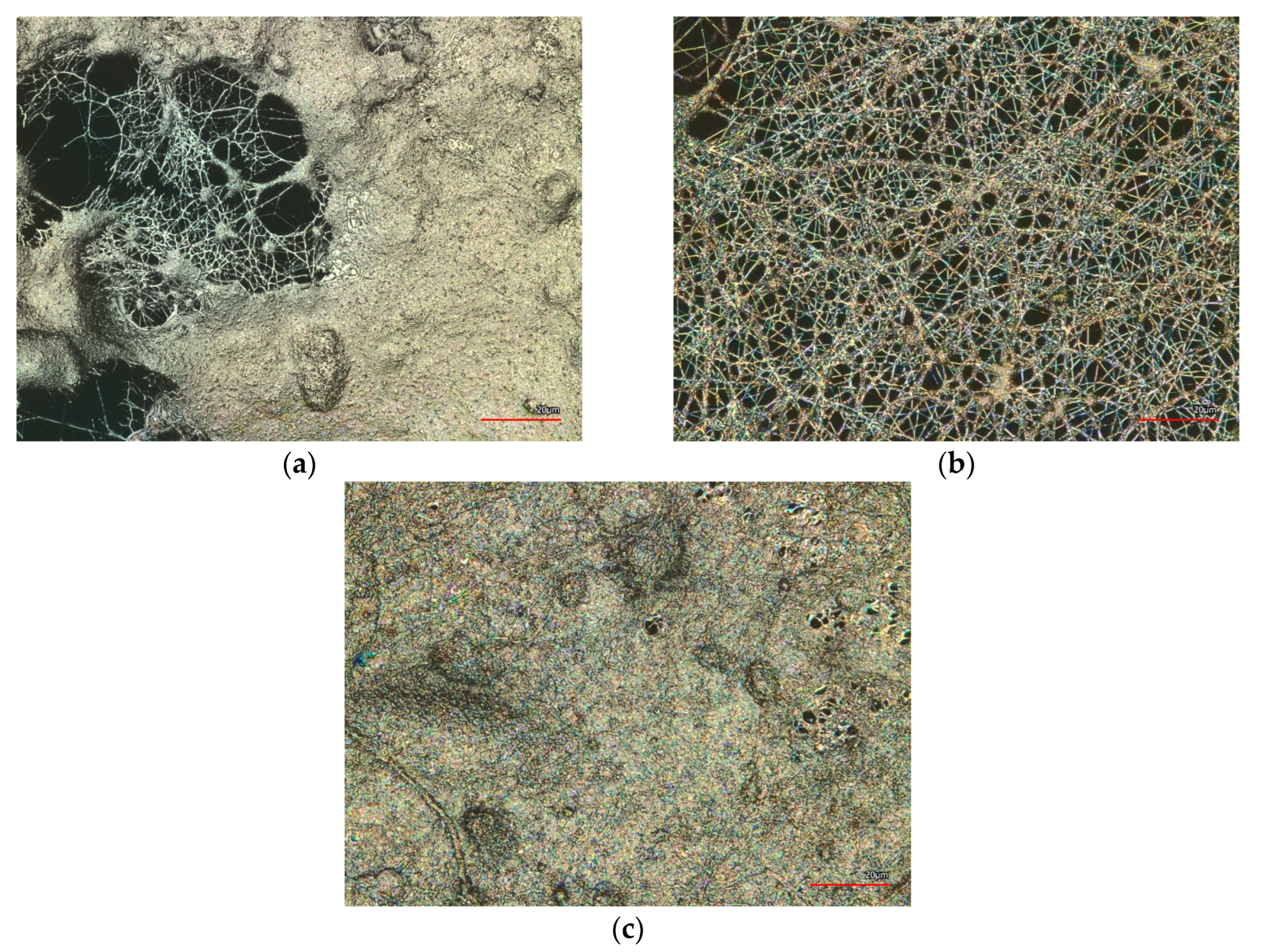 Polymers 15 04064 g002