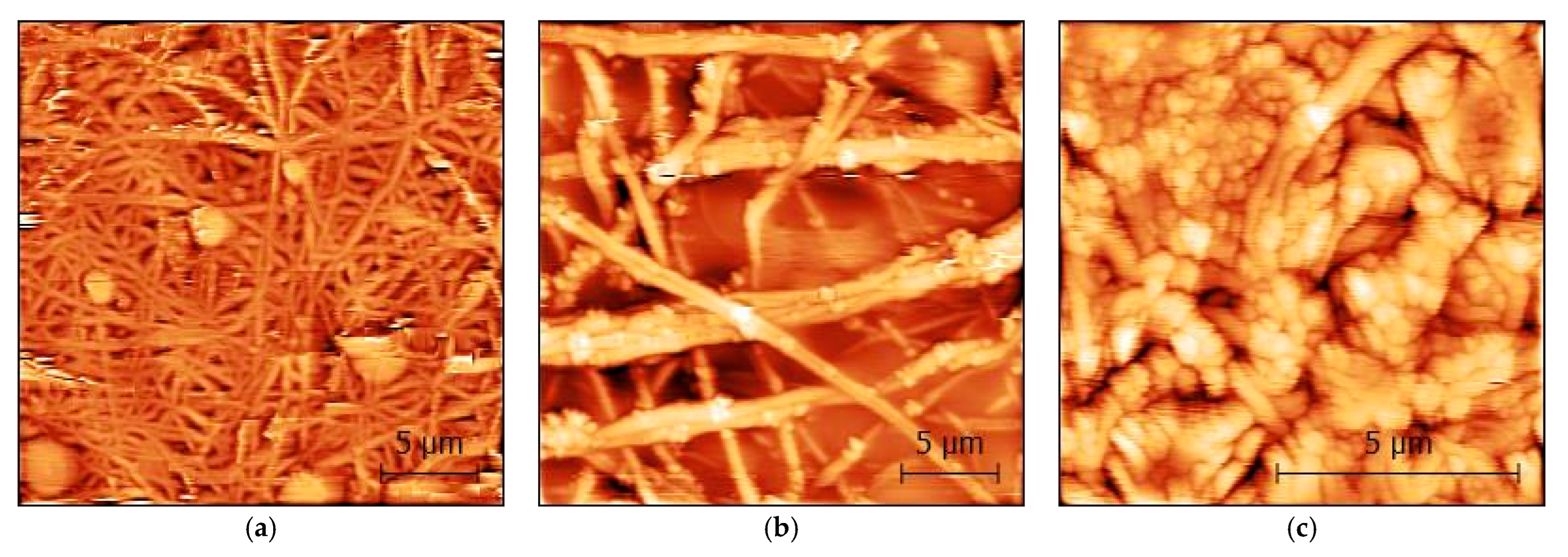Polymers 15 04064 g006