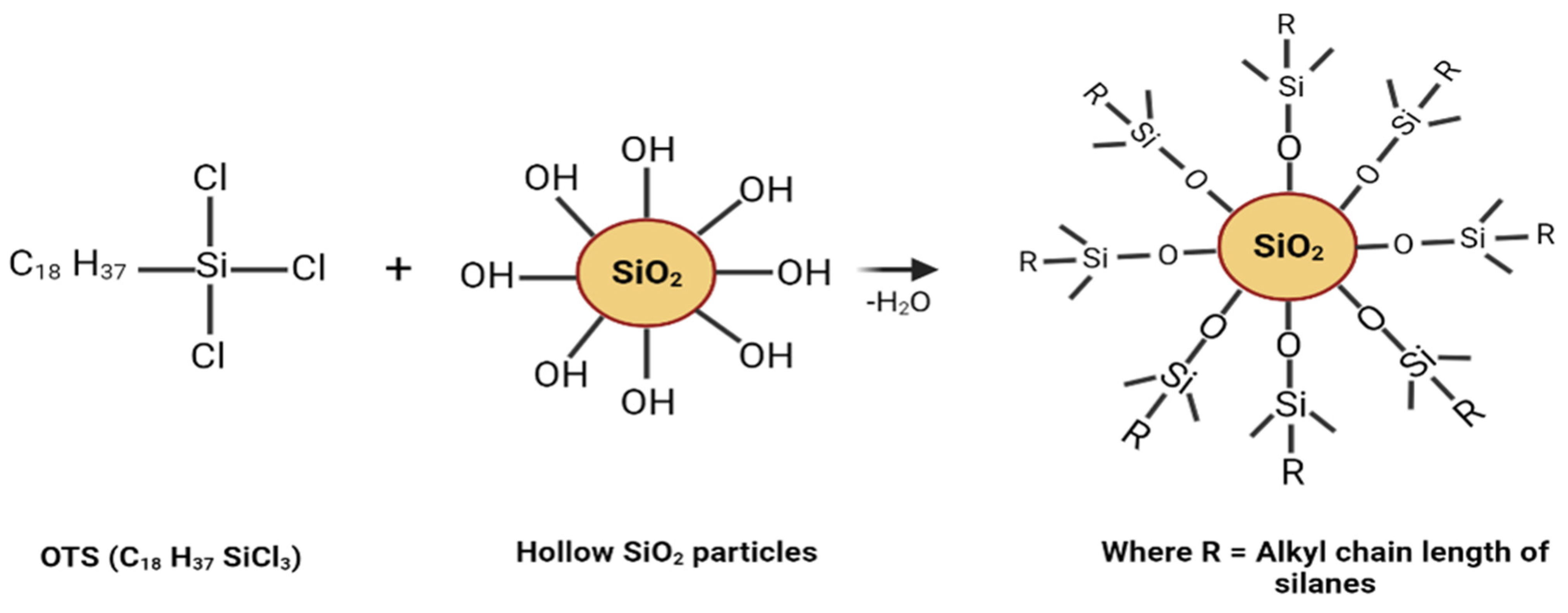 Polymers 15 04065 sch001