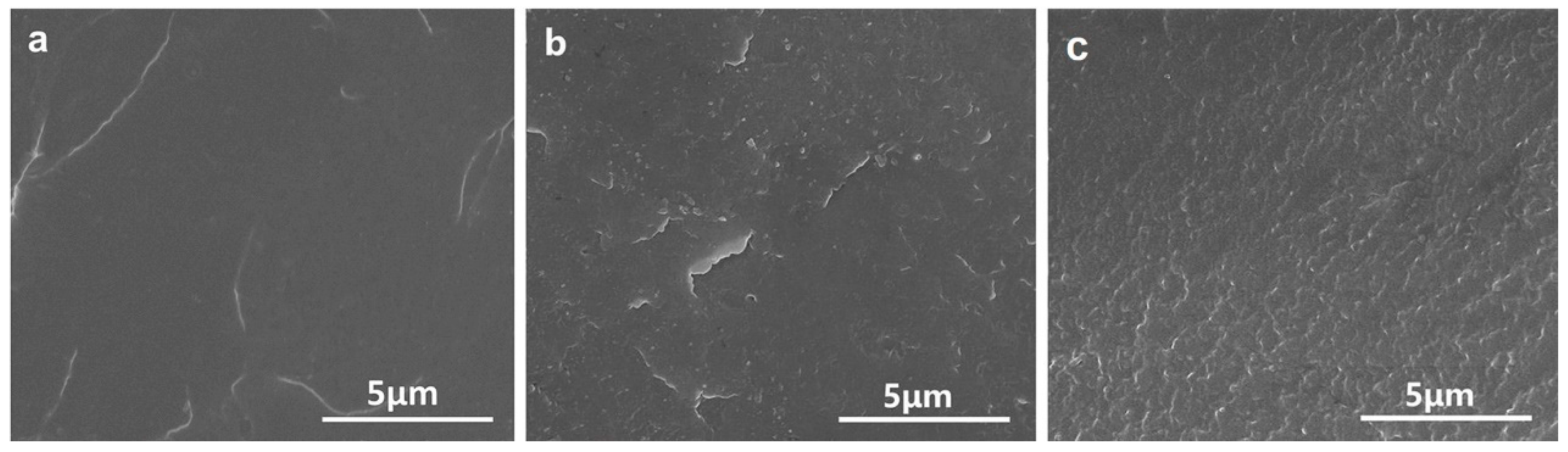 Polymers 15 04066 g008